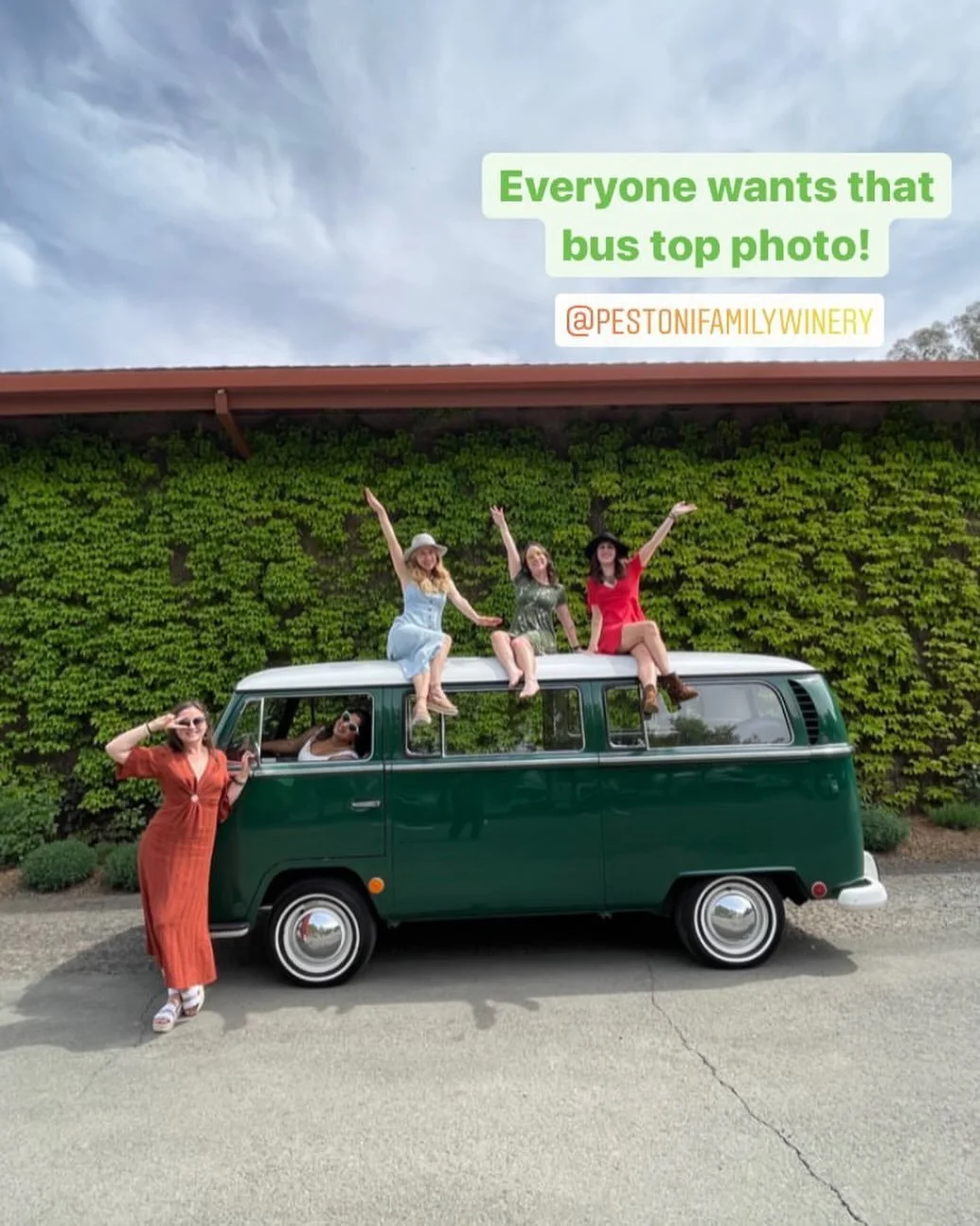Add this photo op to your Napa Valley bucket list! 📸 🚌 

@pestonifamilywinery 

#vintagevwbus #vintagevibes #napawinetour #photoshoot #winecountrybachelorette