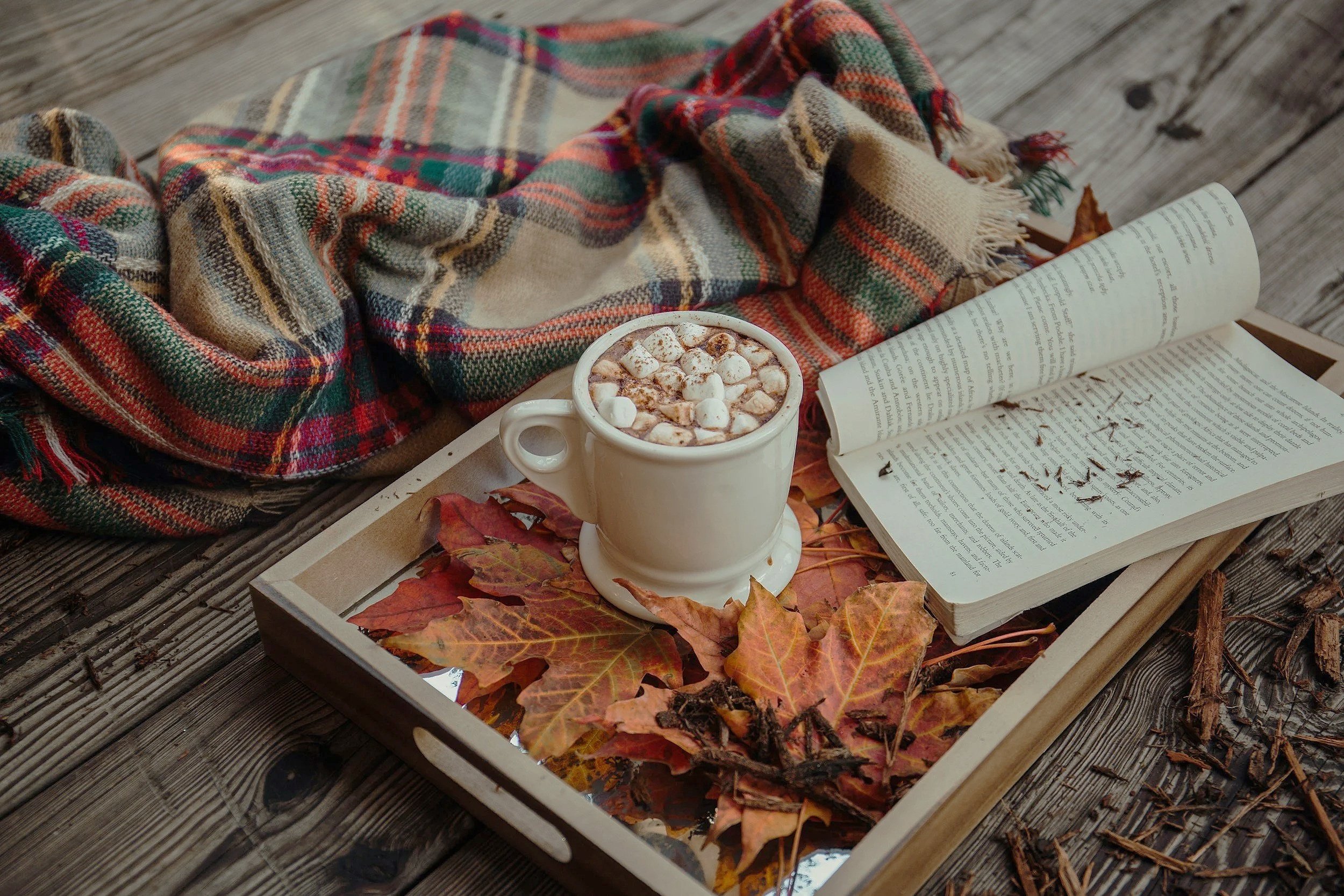 unsplash-image-JhxGkGgd3Sw.jpg