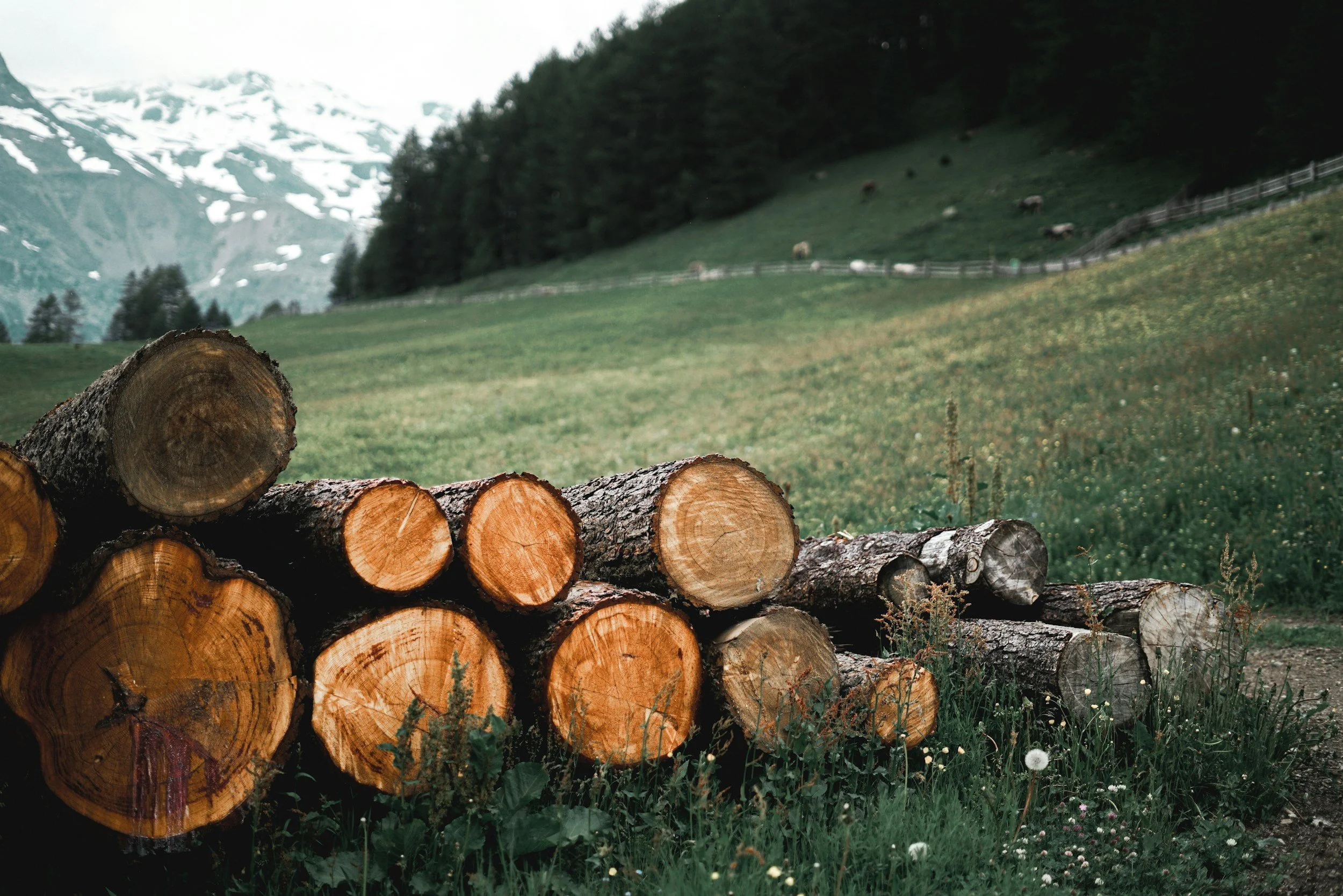 Stacked logs in front of a green meadow with mountains and trees in the background