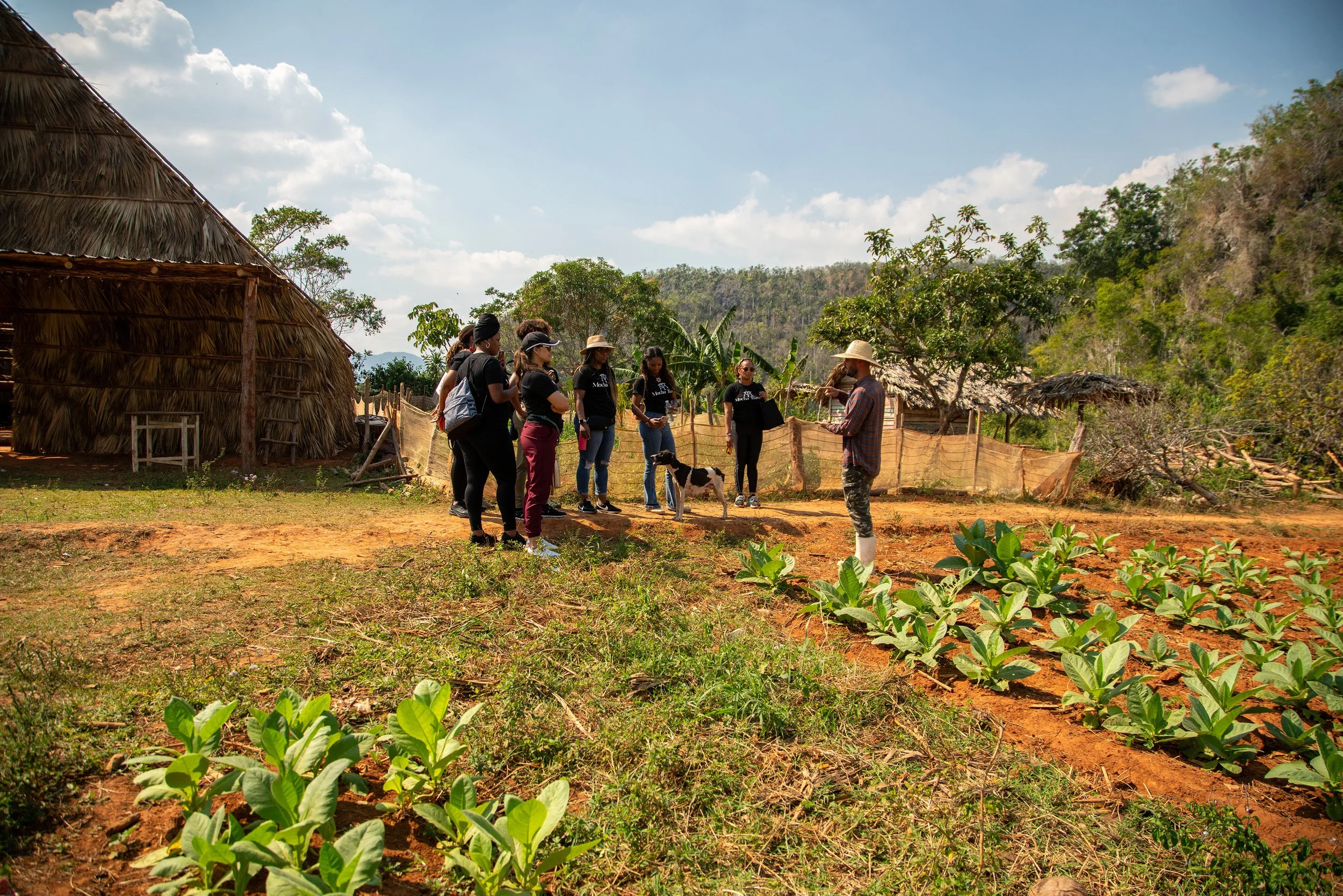 A group of people listening to a guide on a farm with plants and trees, some in traditional huts on a sunny day in Viñales, Cuba.