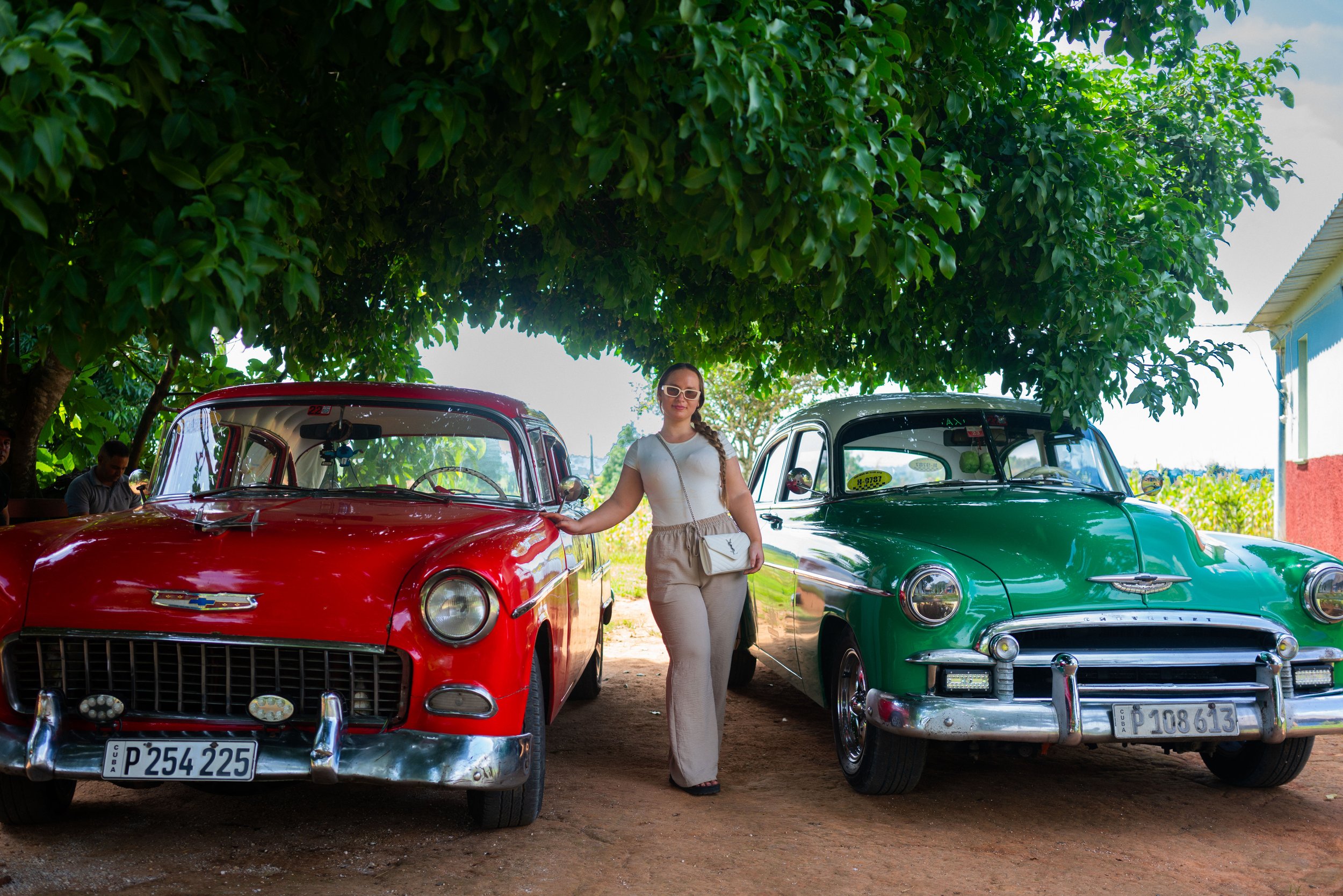 A woman standing between a red vintage car and a green vintage car under a large leafy tree.