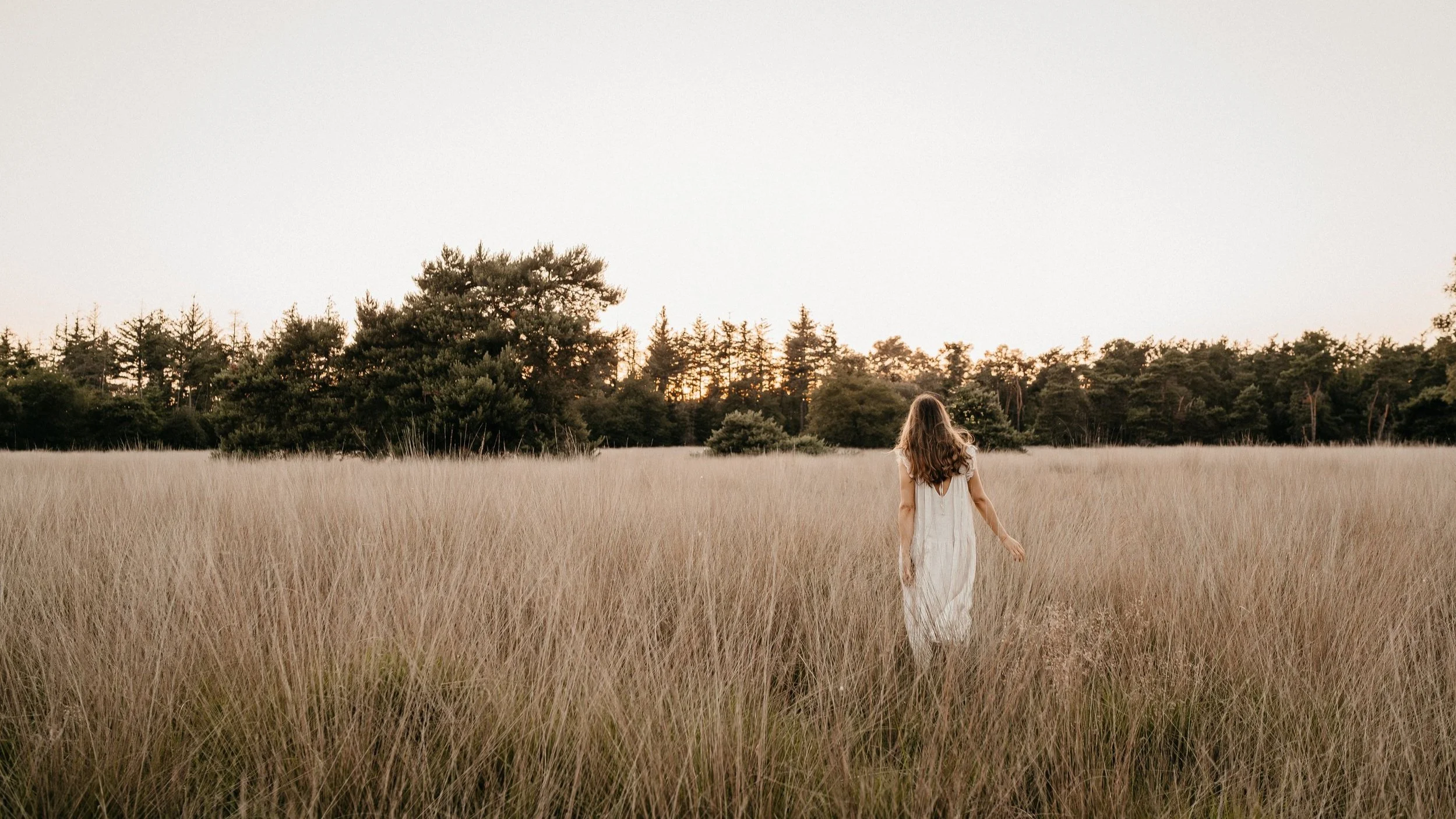 Vrouw in een witte jurk wandelt door een grasveld bij zonsondergang of zonsopgang, omringd door droog gras en bomen op de achtergrond.