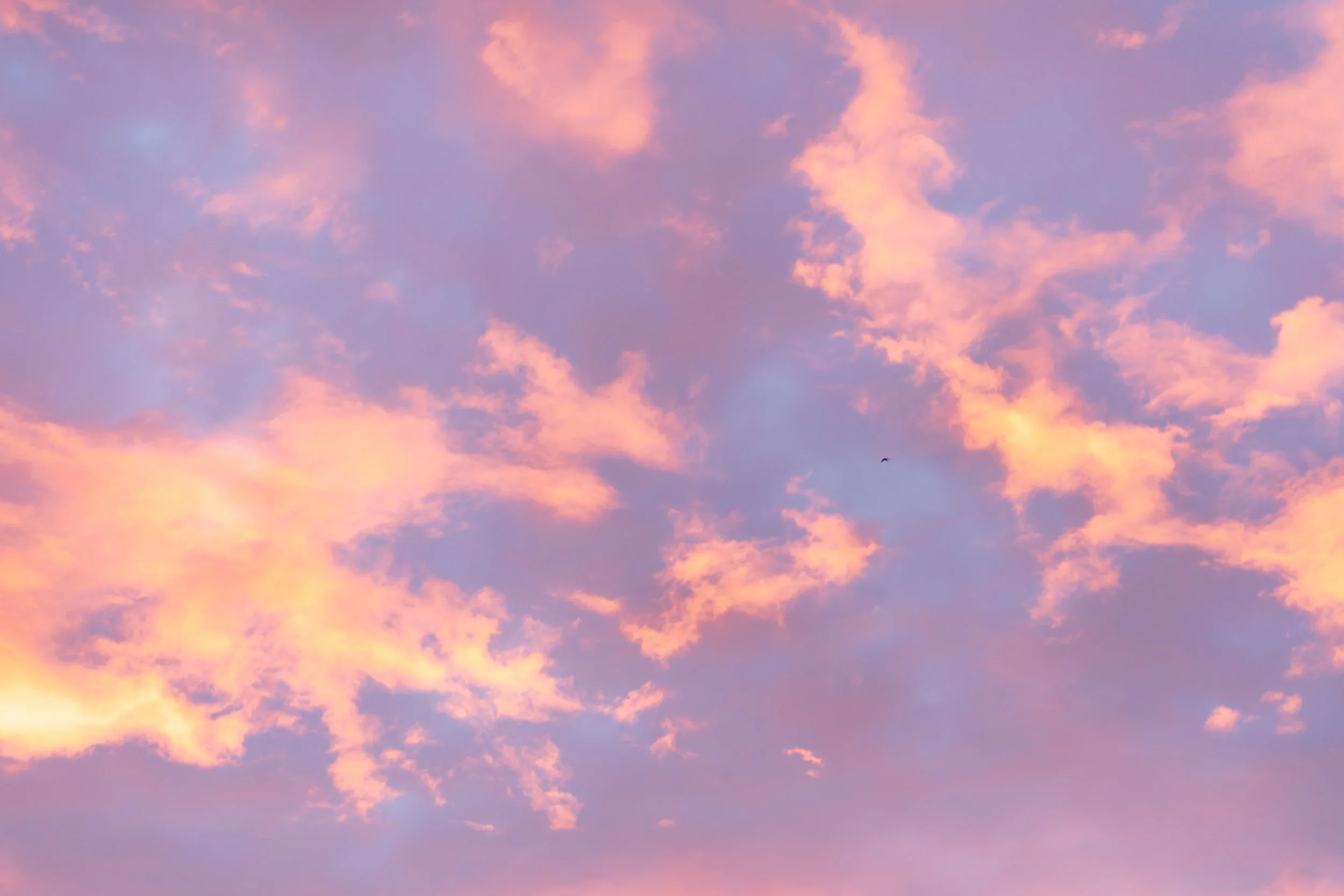 Een lucht met roze en paarse wolken tijdens zonsondergang en een enkele vogel in de verte.