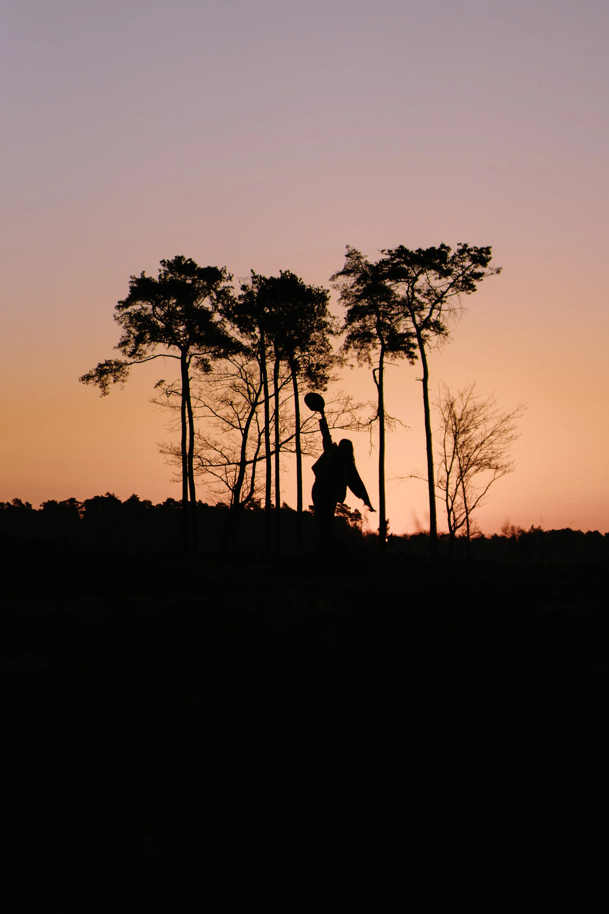 Bevrijding en transformatie