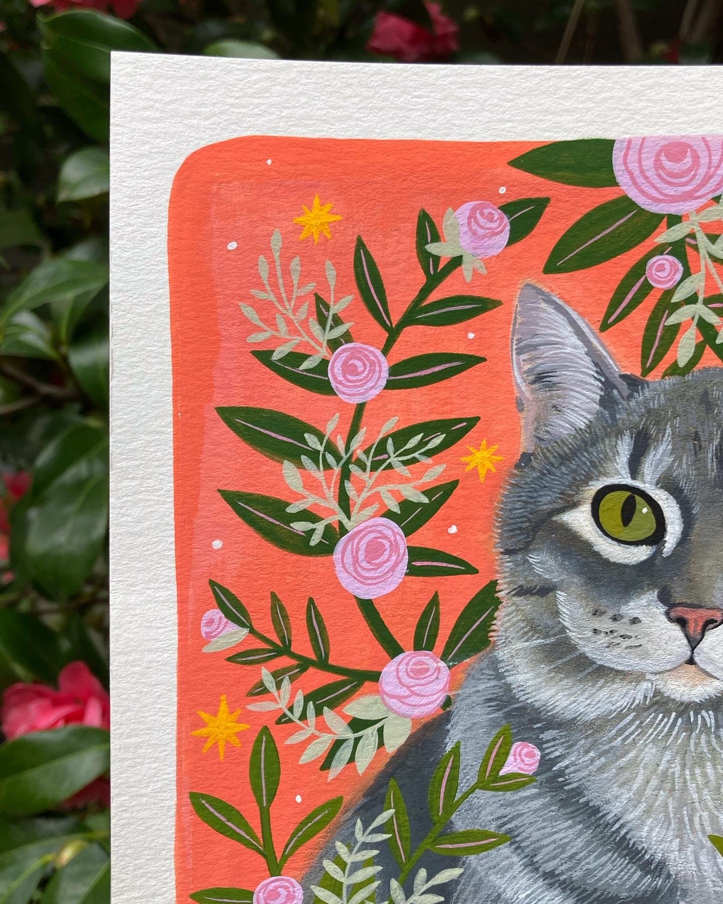Pet Portraits