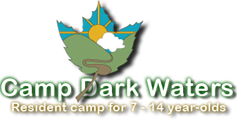 CDW-LogoPrimary.png
