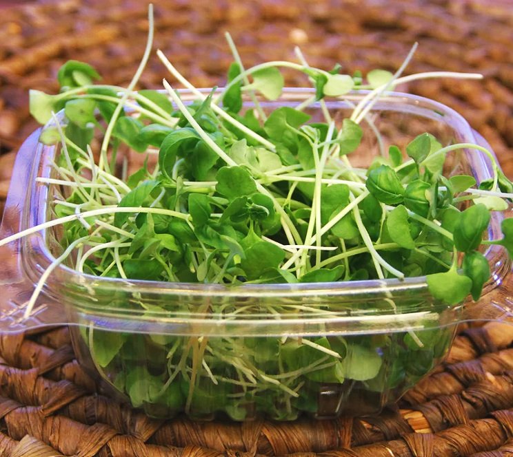 basil.jpg