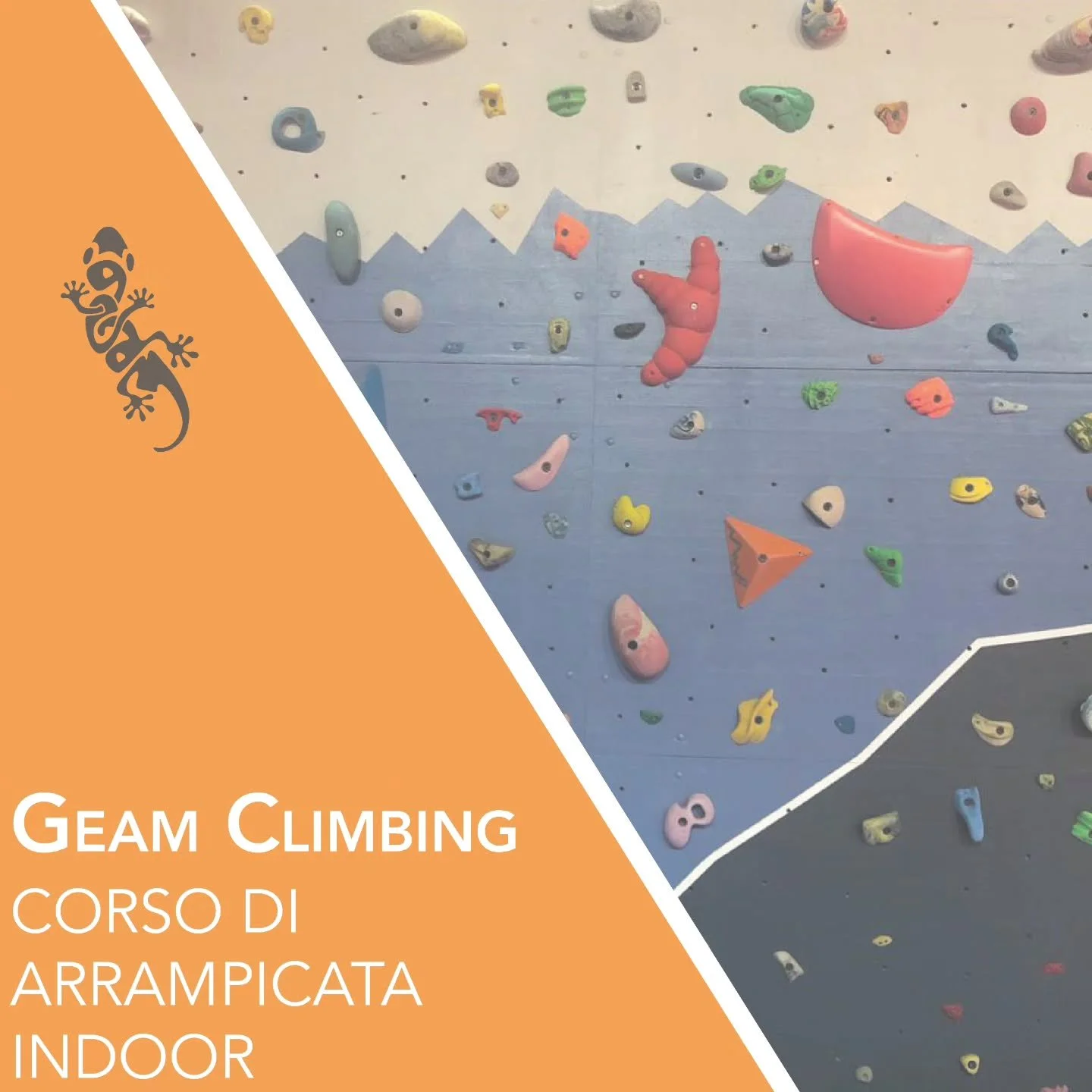 💥 Unisciti a noi per la presentazione del nostro nuovo corso di arrampicata indoor💥

📅 Quando: 08 maggio 2026
📍Dove: Geam Climbing - Via IV Novembre, 7 - Cornaredo

Siamo felici di invitarvi a scoprire tutto sul nostro corso di arrampicata indoor