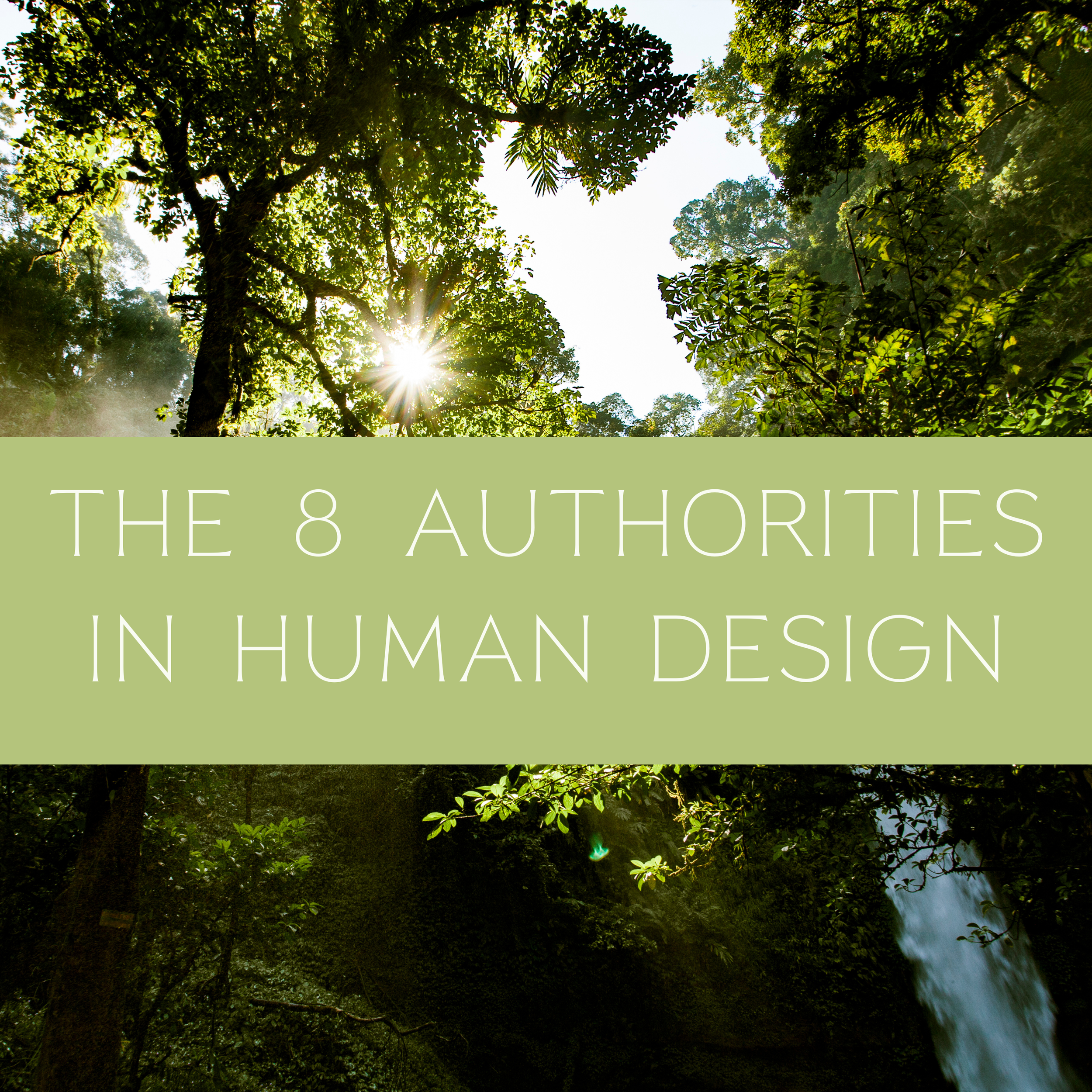 How to Make Aligned Decisions: The 8 Authorities in Human Design