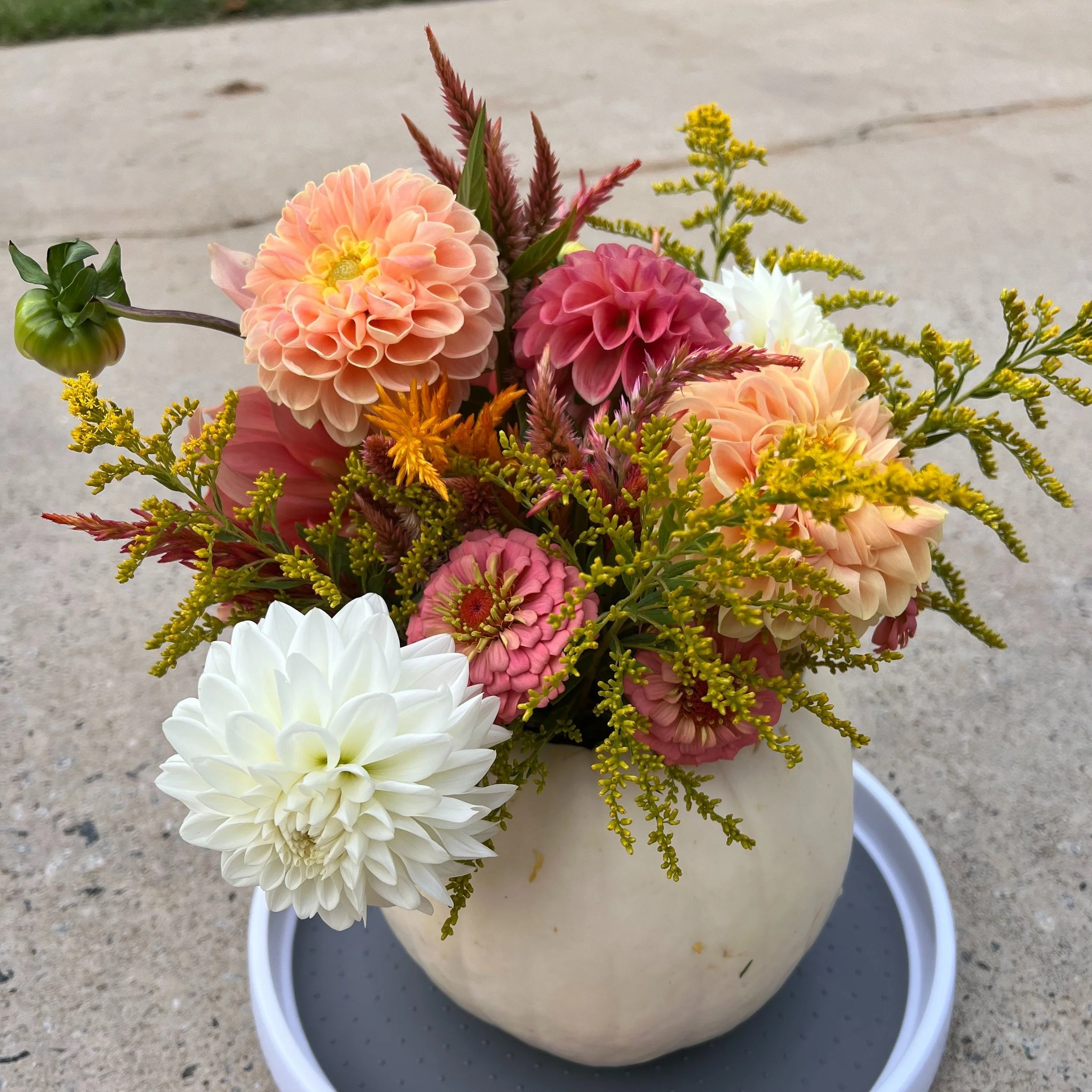 pumpkin+floral+formal.jpg