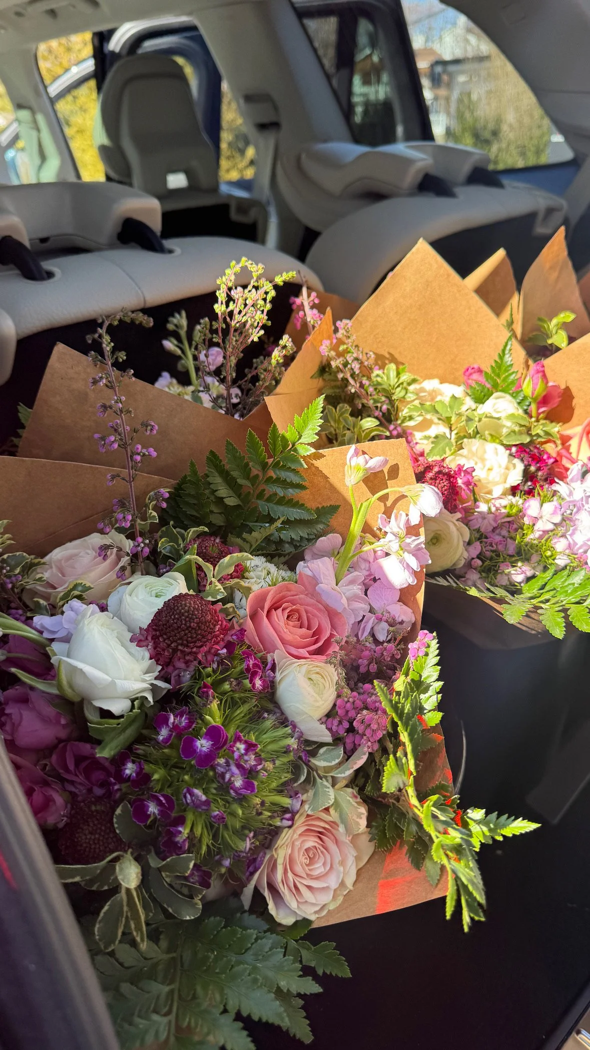 3481315E-0048-4FC9-B7CD-A7AFDB1119FE.jpeg (Copy) (Copy) (Copy) (Copy) (Copy) (Copy)