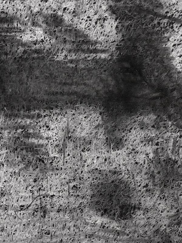 Plateaus 4 Gilles, detail, white chalk on blackboard, 72 x 48 in., 1995