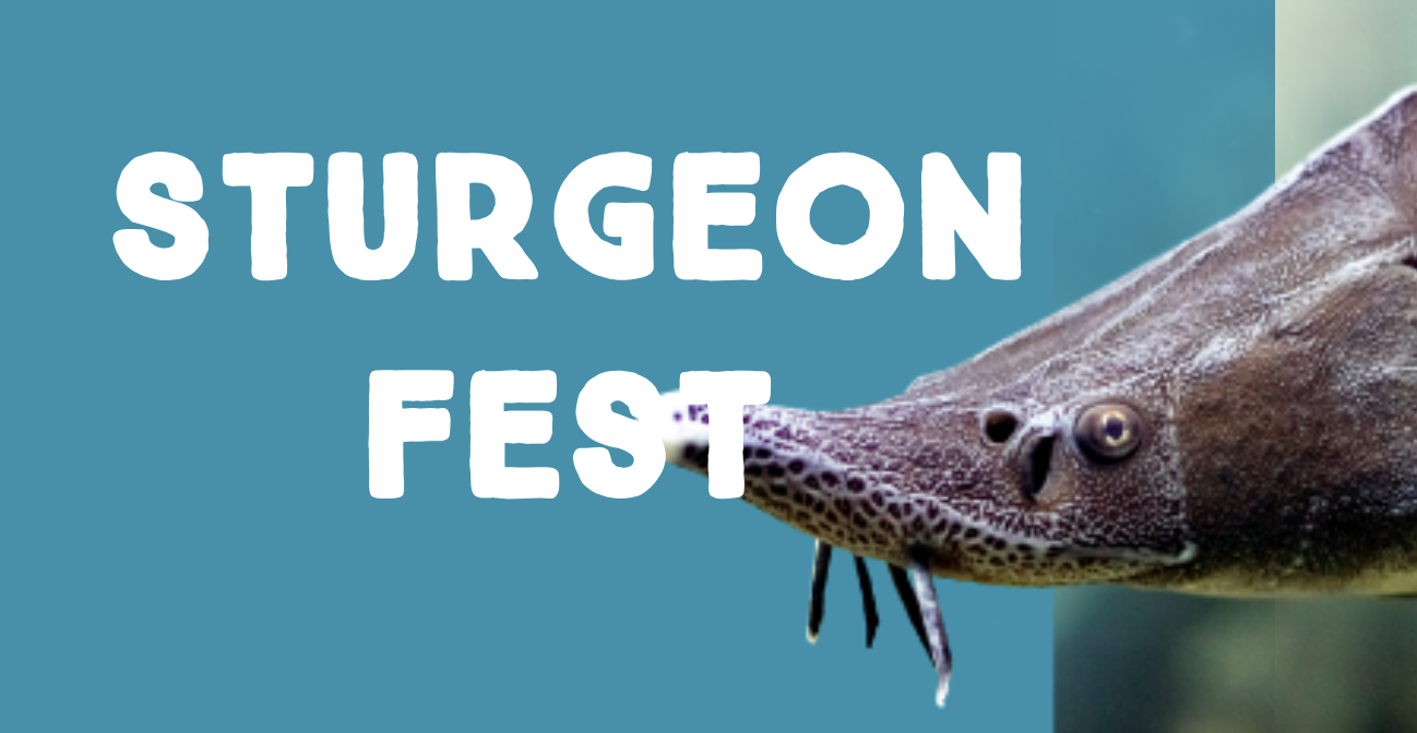 Sturgeon Fest