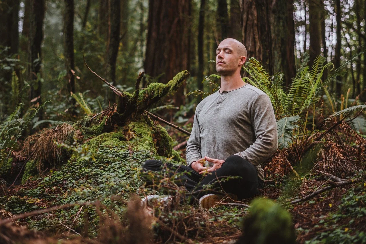 Reflections from a Vipasana Meditation Retreat in Dharamshala India