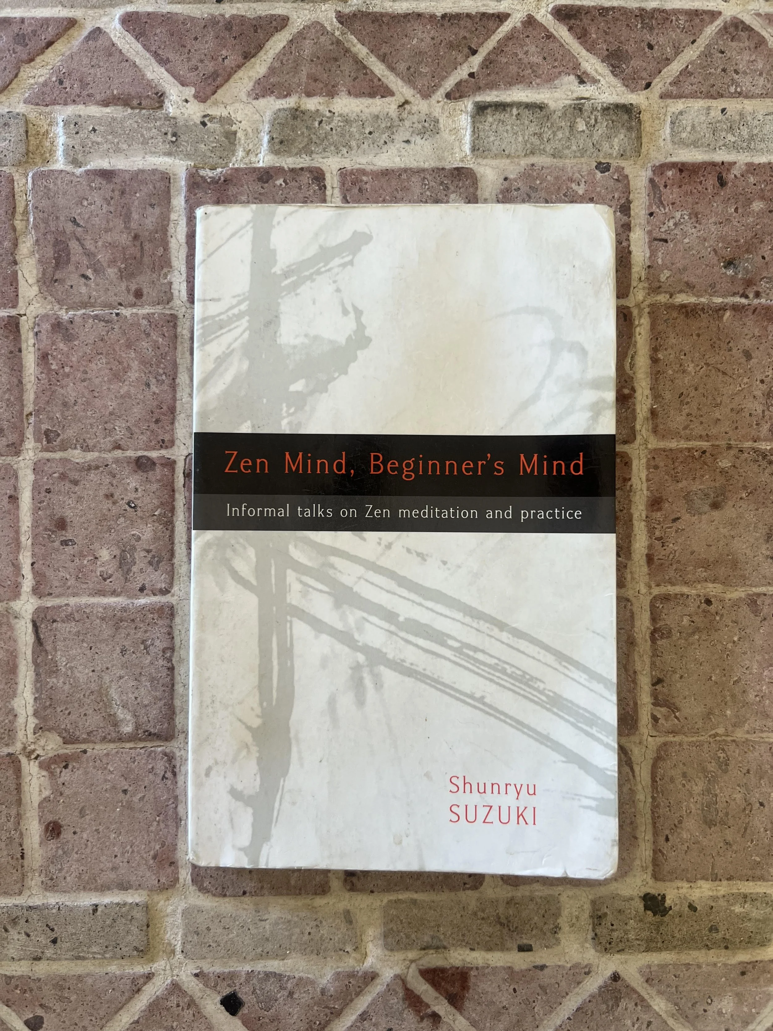 Zen Mind, Beginner’s Mind