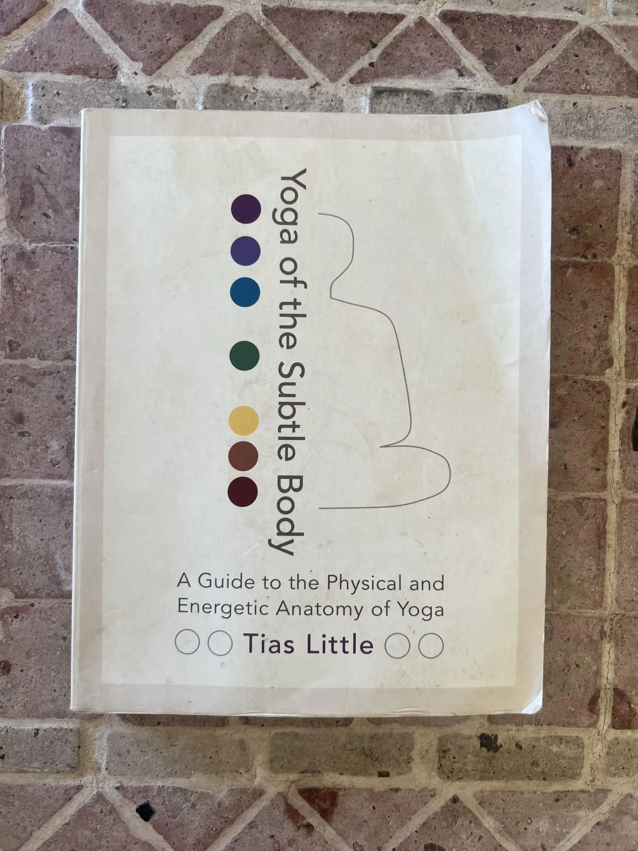 Yoga of the Subtle Body