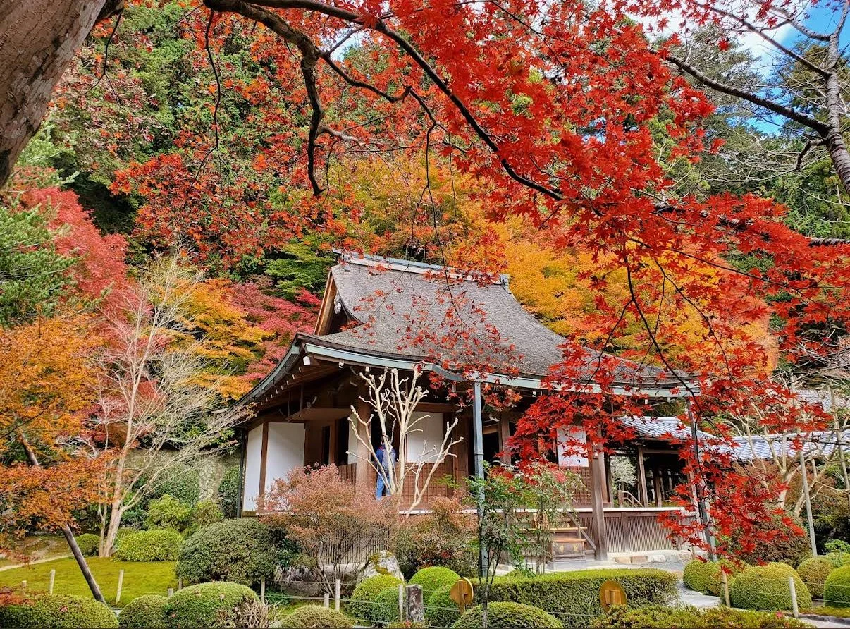 Japan Yoga Hot Springs Retreat, Deposit