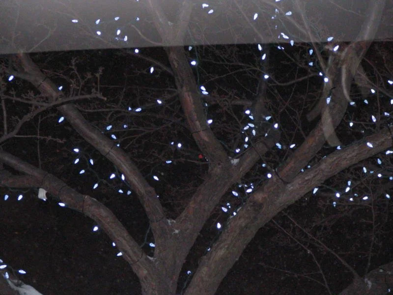 Party de Noel 2008-016.jpeg