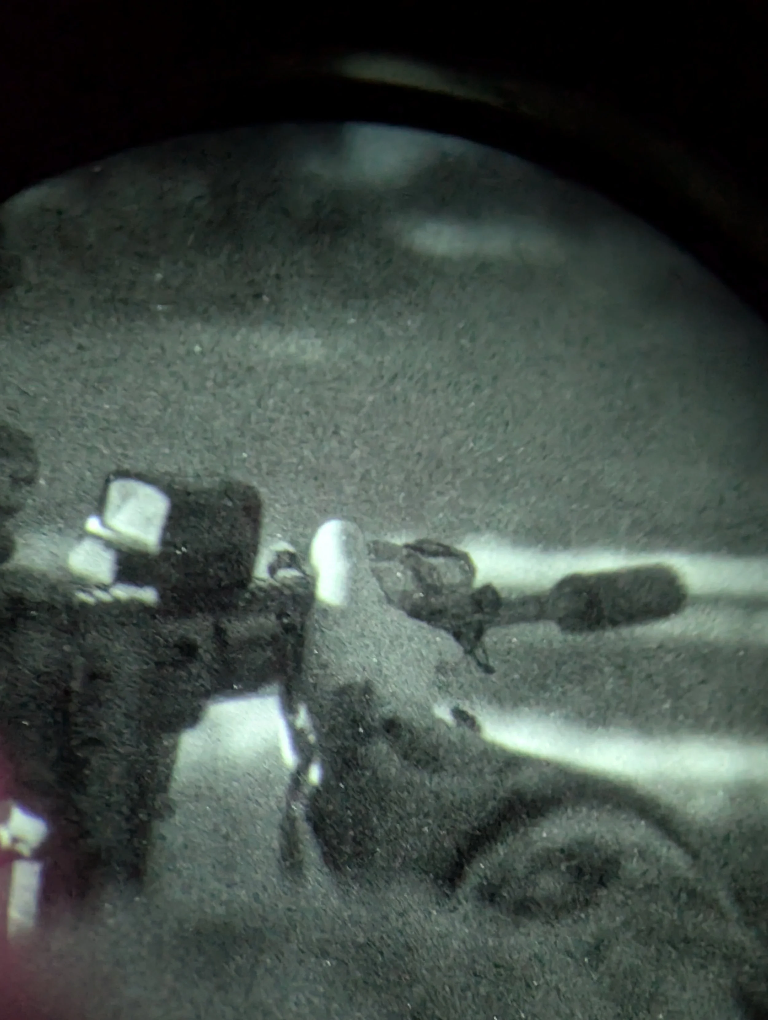 Still shot of the LAM Mk1 during 5.56 live fire testing.