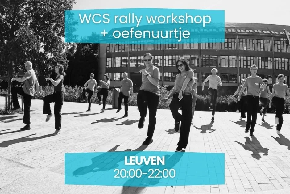 WCS rally WORKSHOP deel C