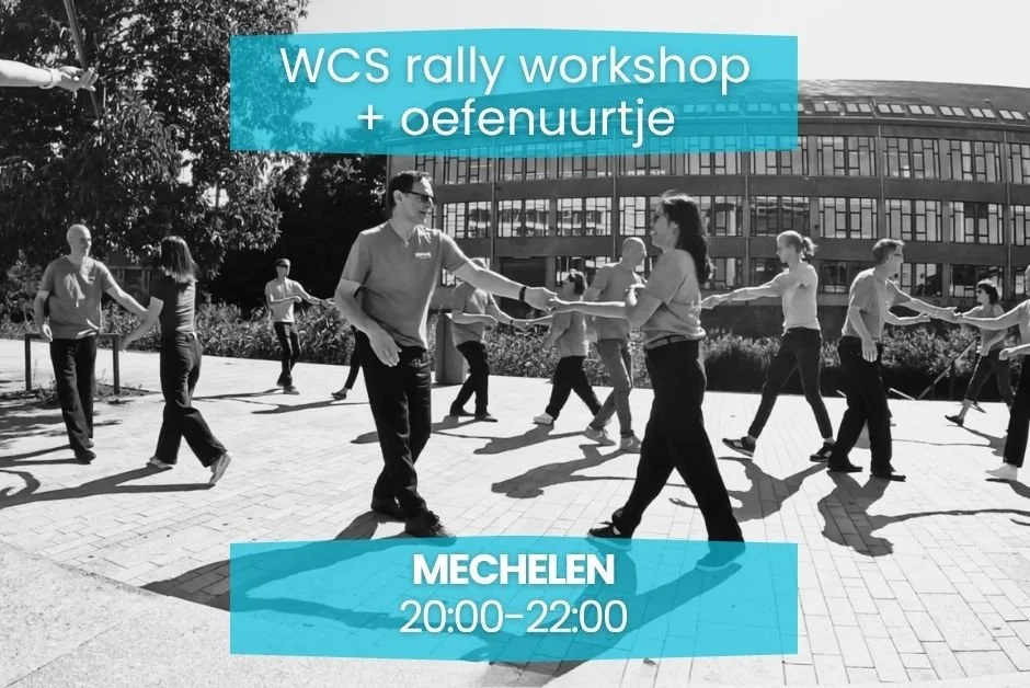 WCS rally WORKSHOP deel C