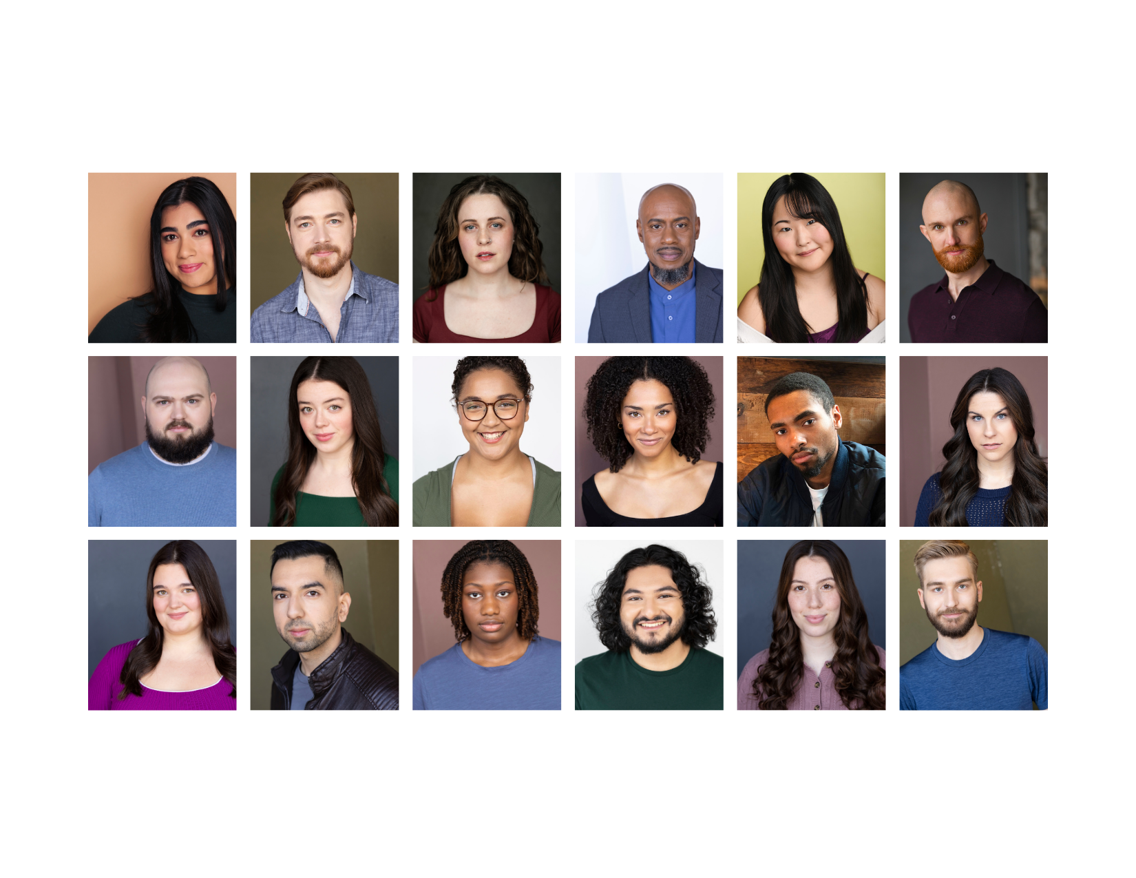 2025 — NIU BFA Actor Showcase 2026