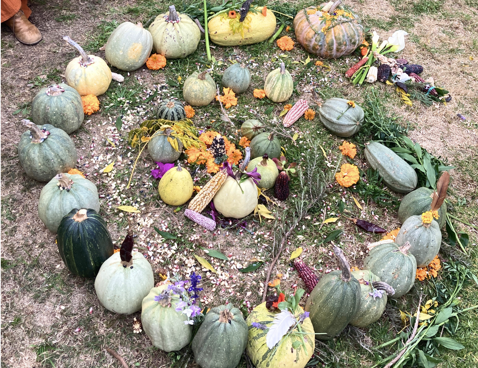 An Earth-Based Prayer for Los Angeles: Holding Our Community in Love 🕯️