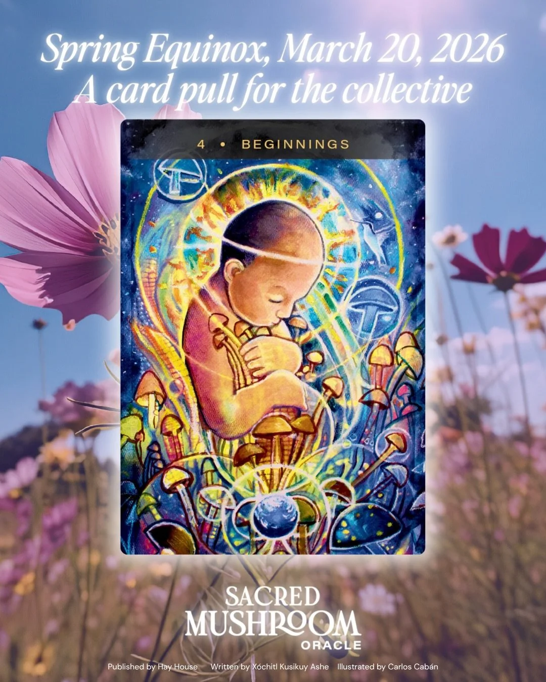 ✨ Happy Spring Equinox, Medicine Family.

Today the sun returns to its fullness. Equal light, equal dark, and right here in the balance, something is being born.

I have been sitting with so much gratitude this morning. For the light returning. For t