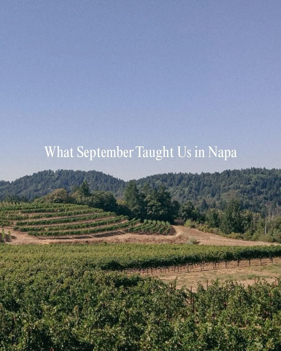 ✨ September taught us a few things about wellness here in Napa:

🌿 Fire season stress is REAL &mdash; and caring for your body steadies the mind.
🌿 Outdoor wellness doesn&rsquo;t end with summer.
🌿 Self-care is contagious &mdash; surround yourself