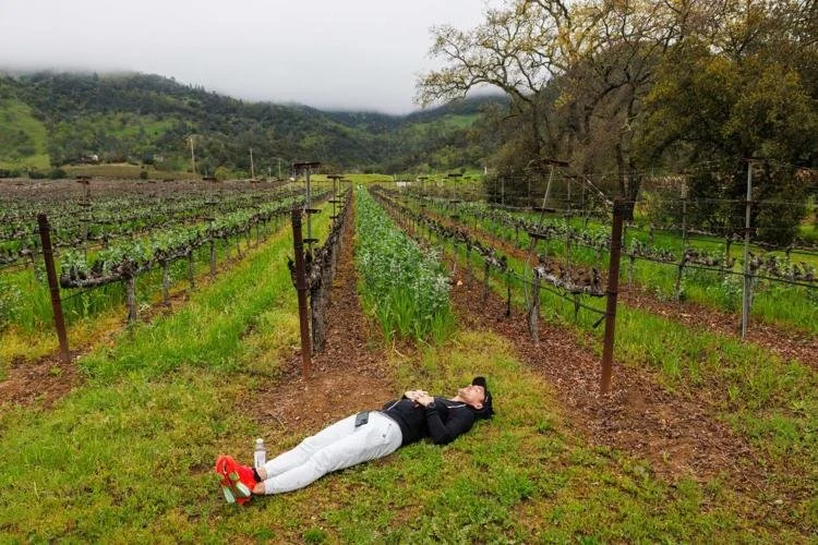 Love this capture by Nick Otto in the Napa Valley Register / @naparegister  ahead of Sunday&rsquo;s Napa Valley Marathon.

There&rsquo;s something powerful about that quiet moment before the start &mdash; whether it&rsquo;s your first race or your fi