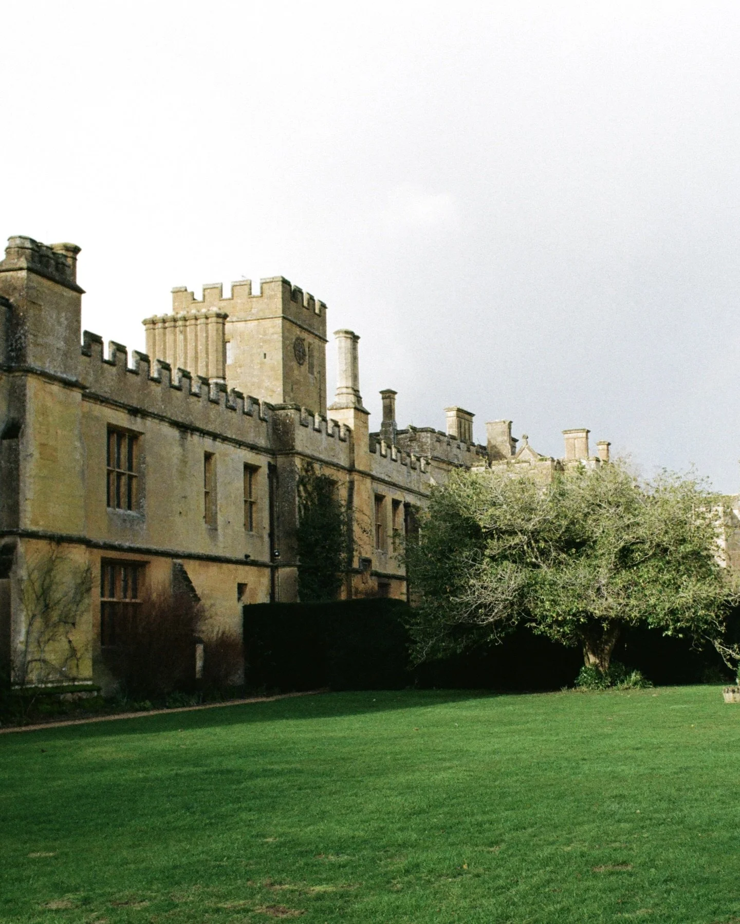 The grounds of Sudeley Castle on film 🎞️ 

london wedding photographer, uk wedding photographer, film wedding photographer, england wedding photographer, wedding on film, editorial wedding photography, documentary wedding photography