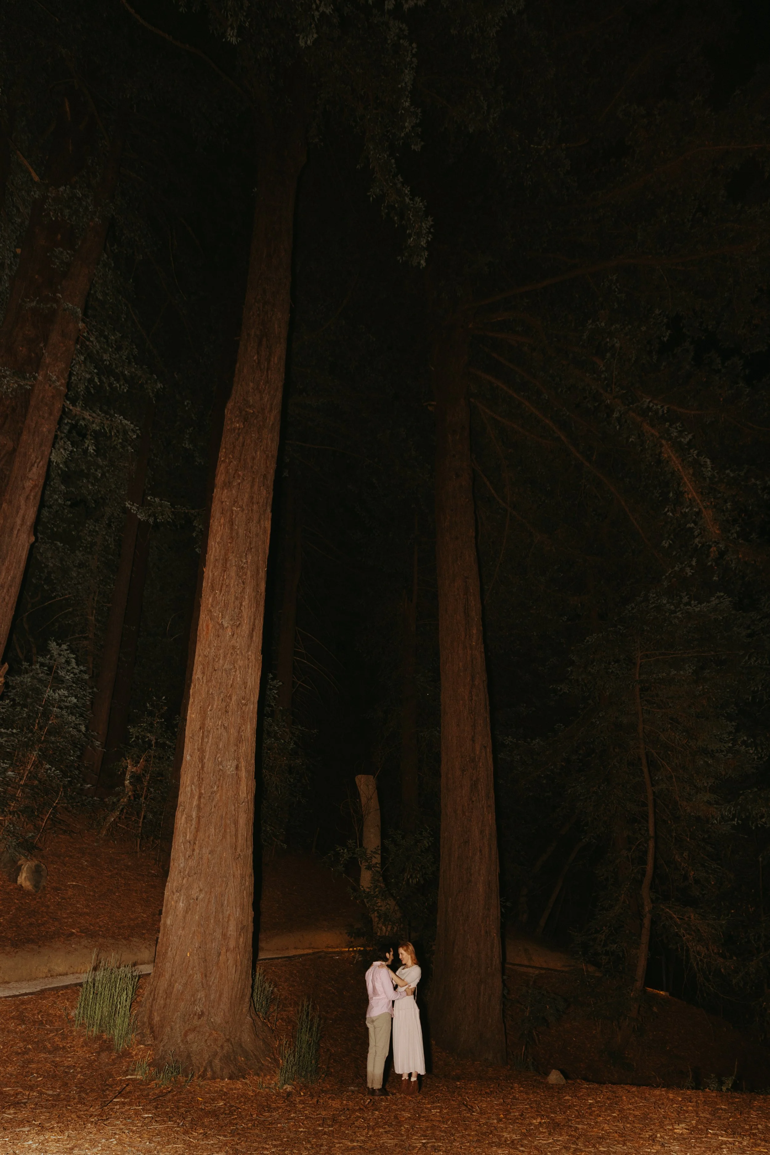 couple embracing in the redwoods at Ventana in Big Sur after their proposal