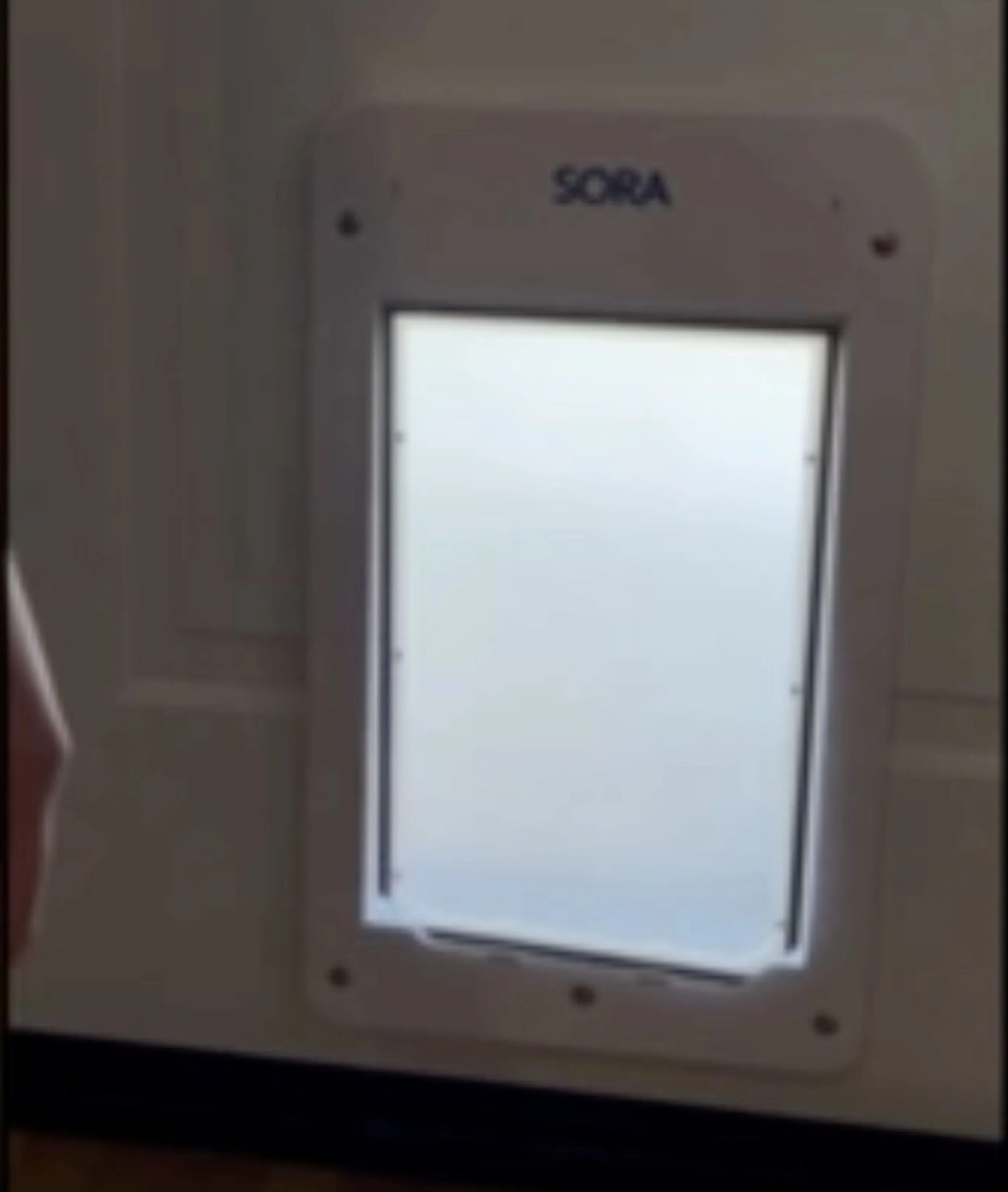An image of a doggy door marked "Sora"