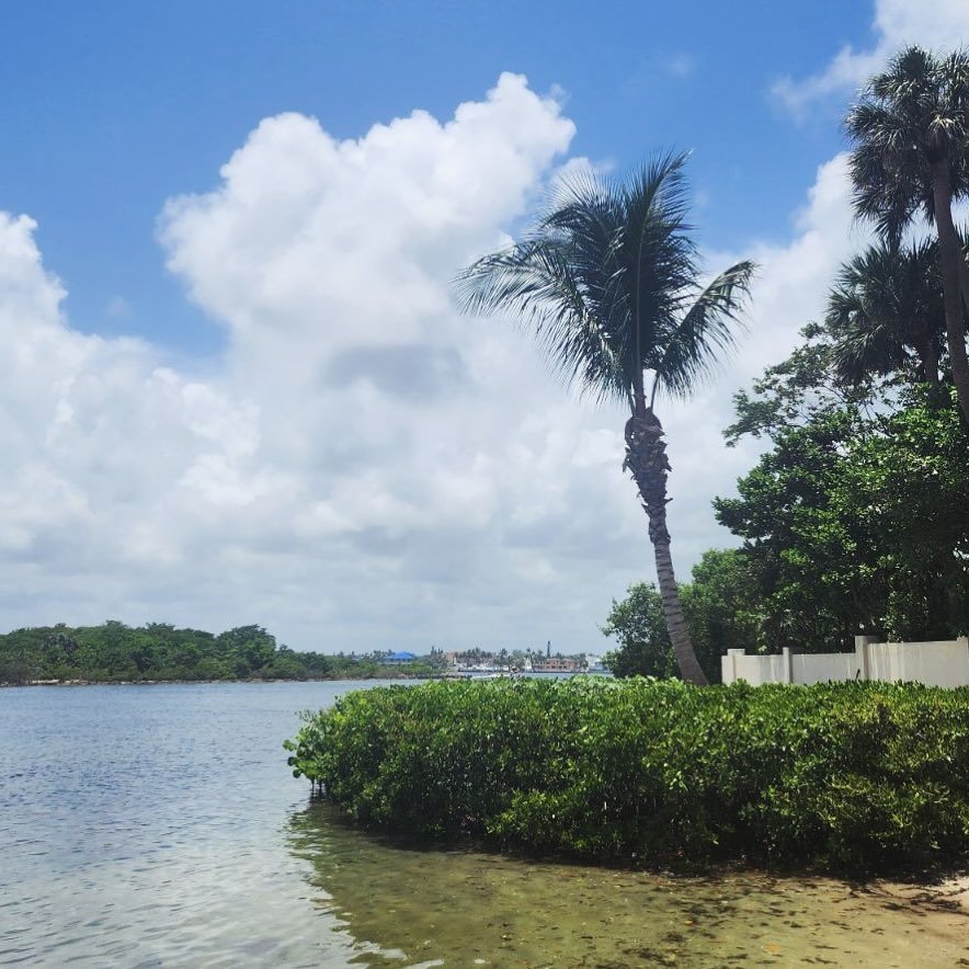 ERS mangrove  trimming FL
