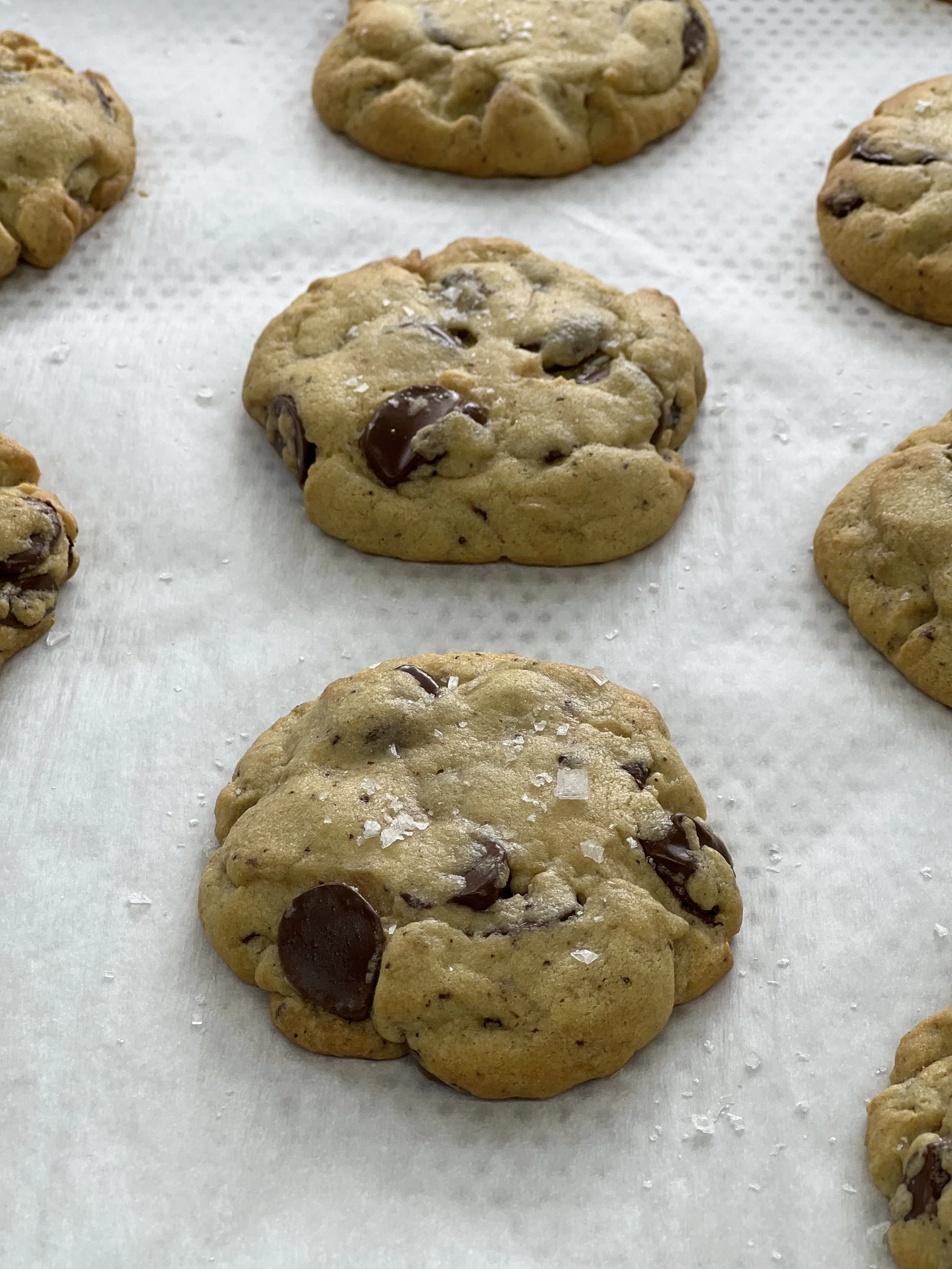 Close-up of freshly baked chocolate chip cookies on parchment paper.