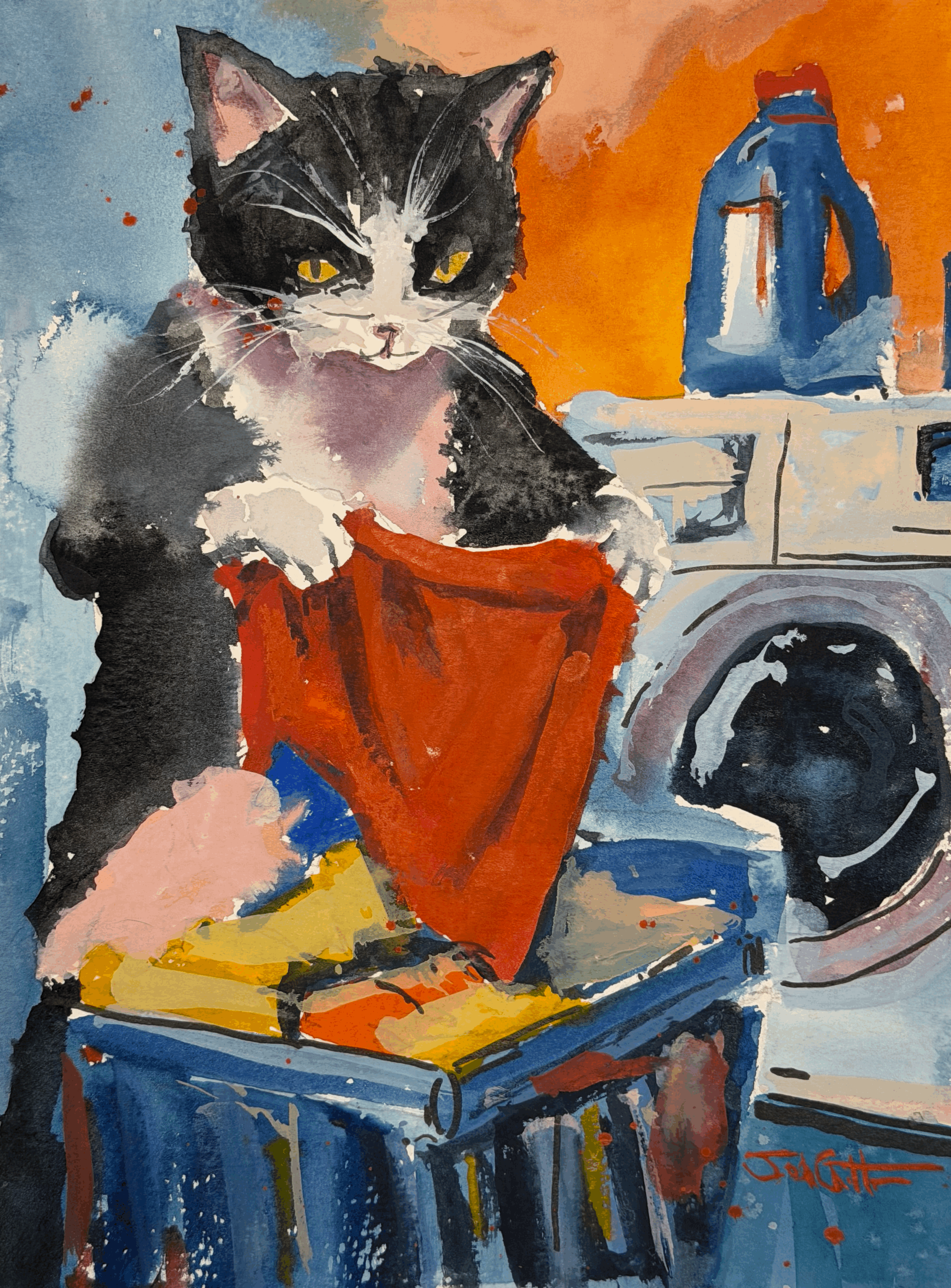 the washing cat