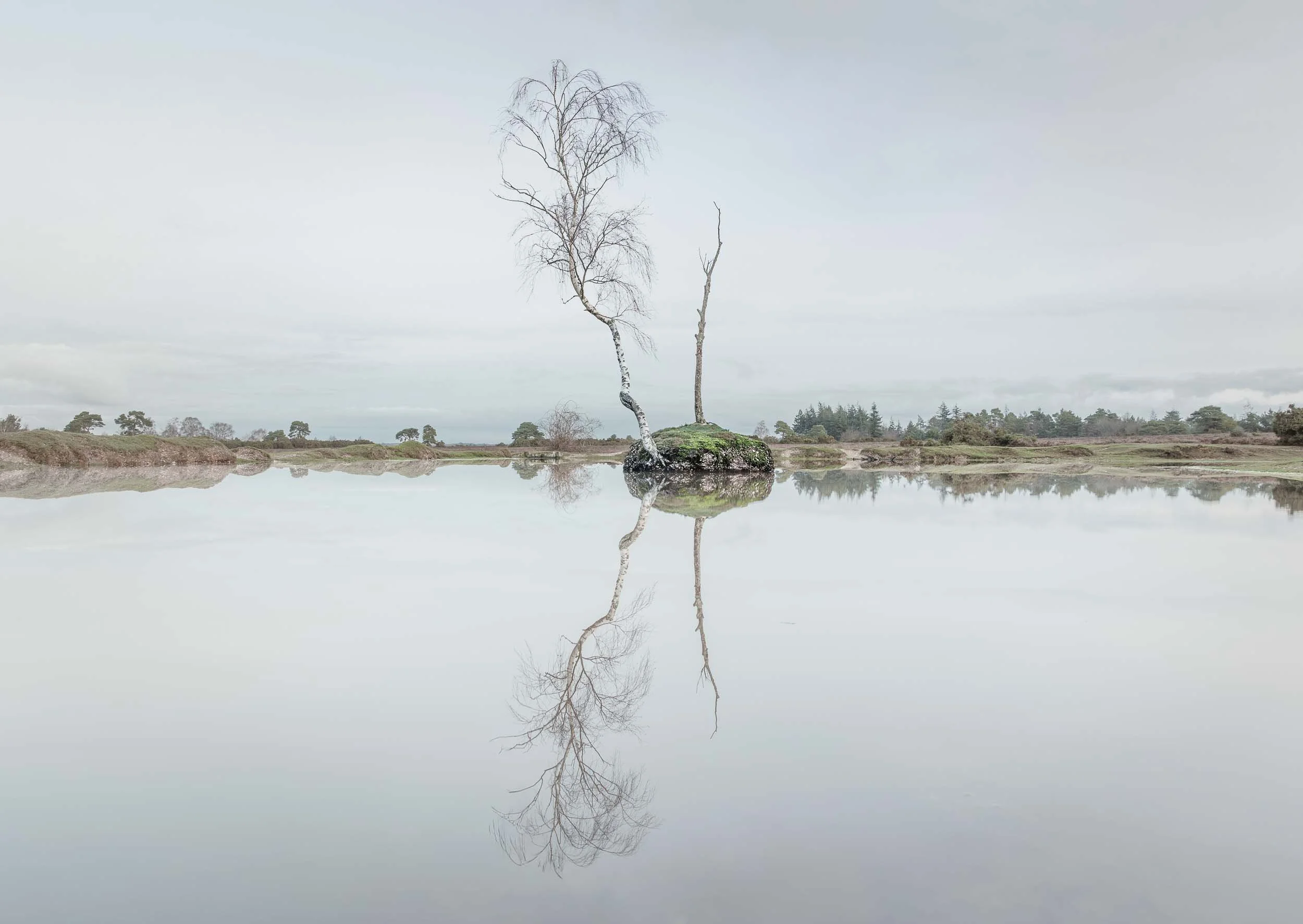 Island Reflections - Red Shoot Plain