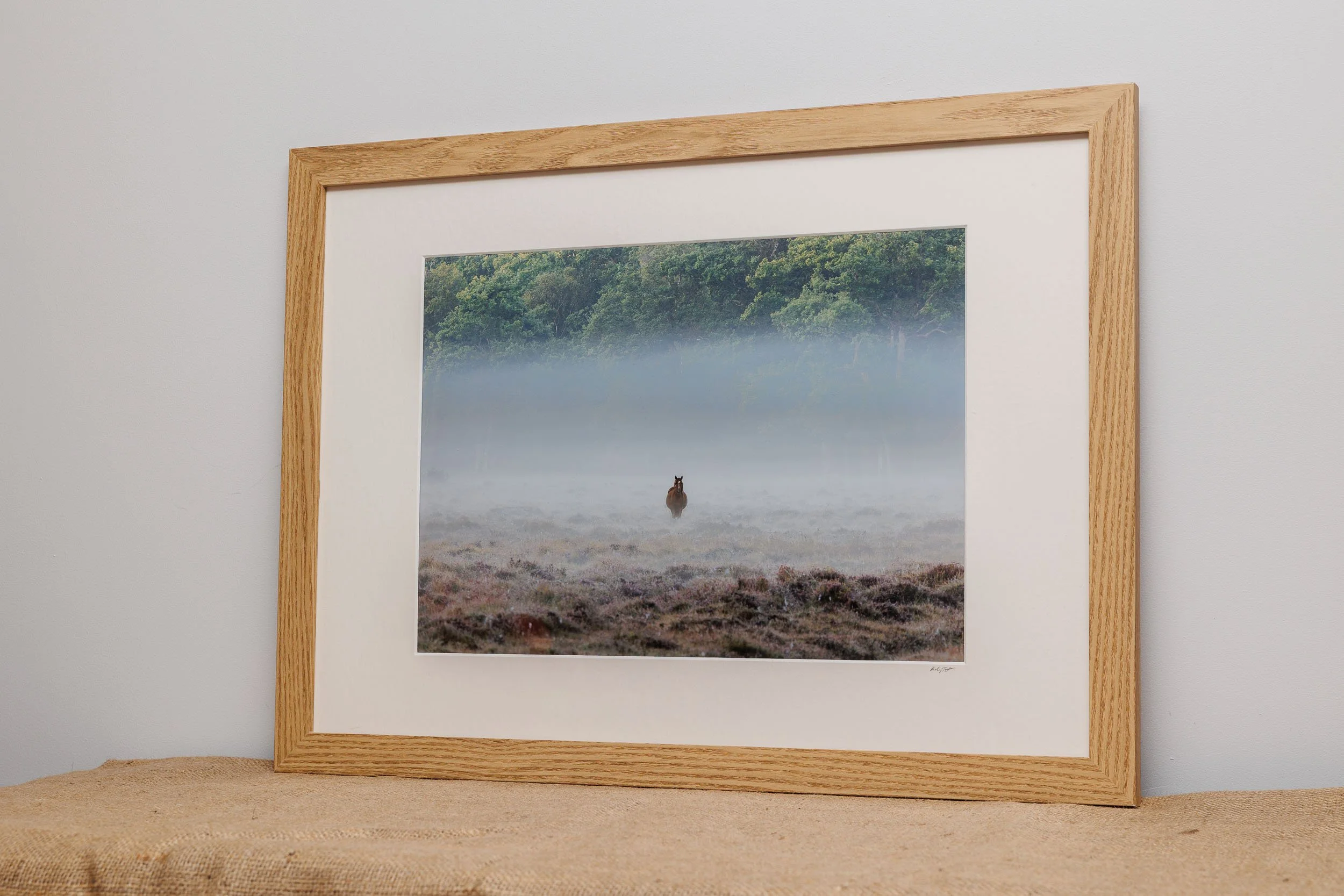 New-Forest-Pony-in-mist Andy Tait Photography.jpg