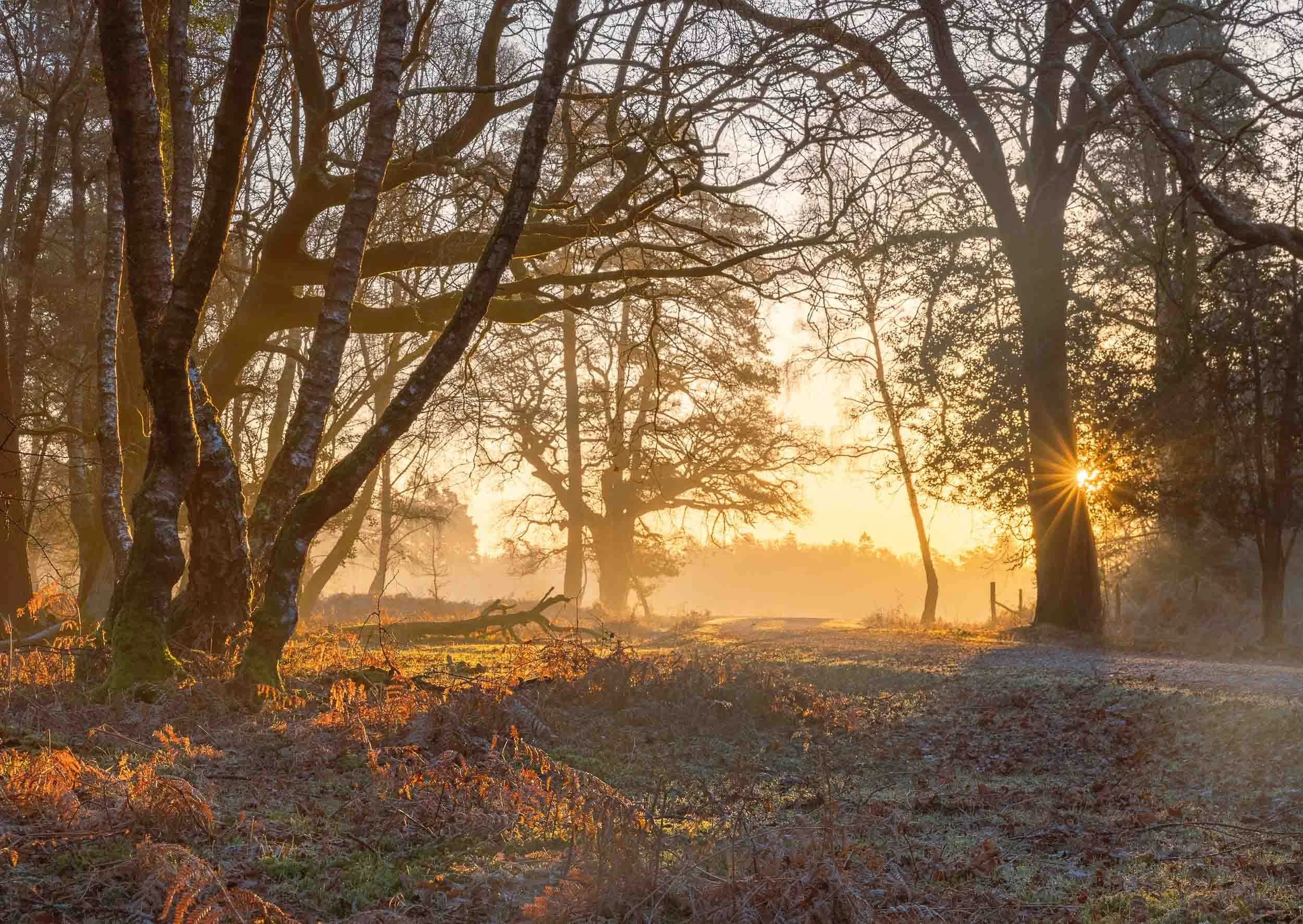 Cold Day, Warm Sunrise - Park Hill