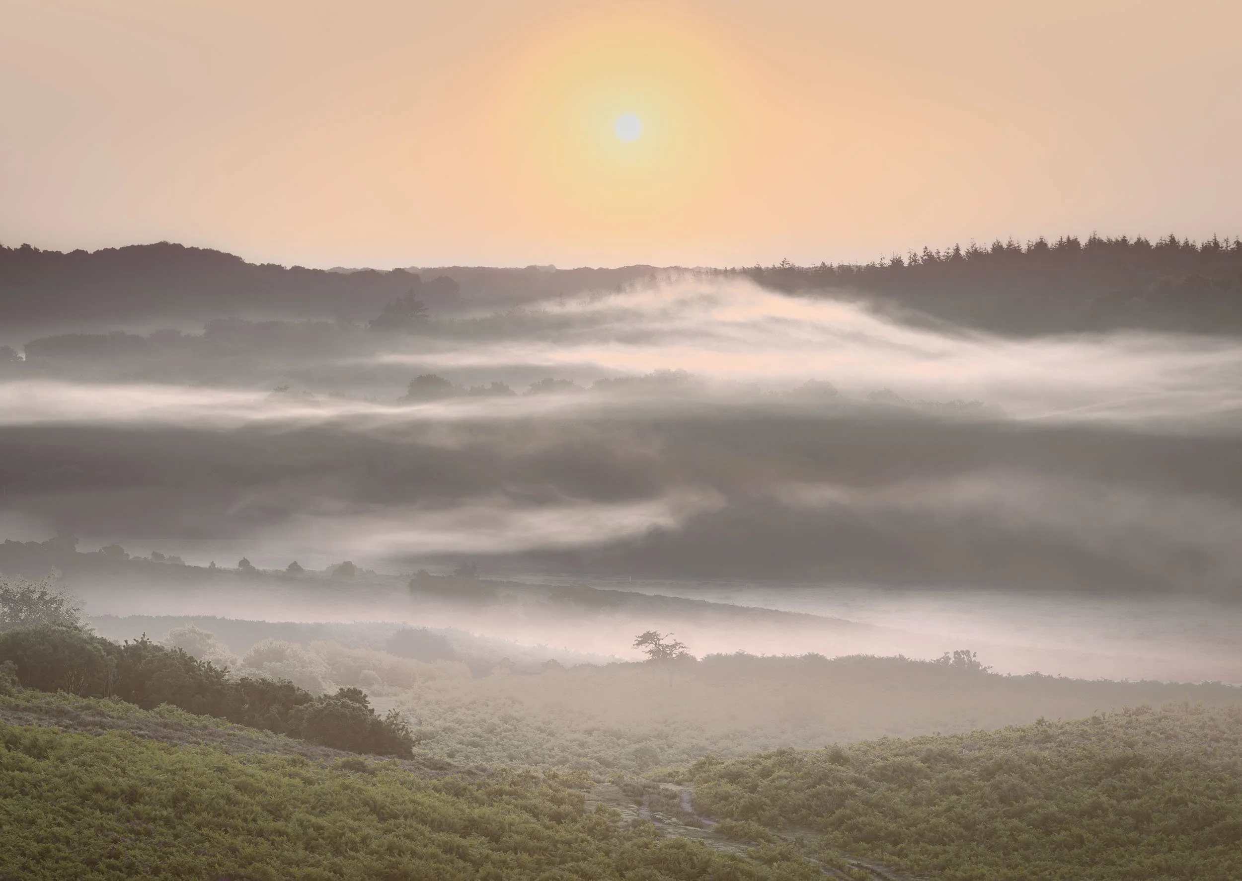 Misty Valley - Digden Bottom