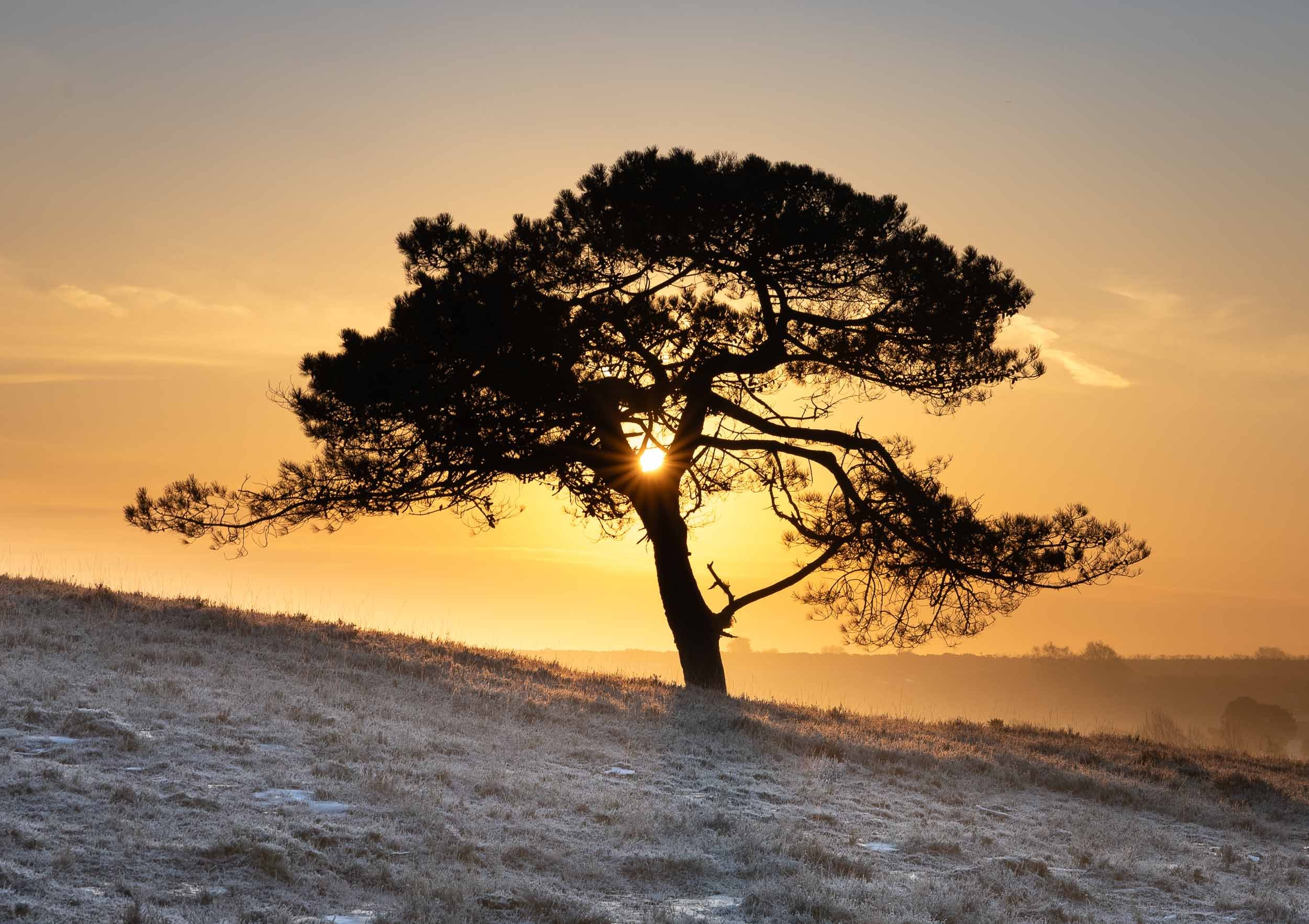 Cradle of Light