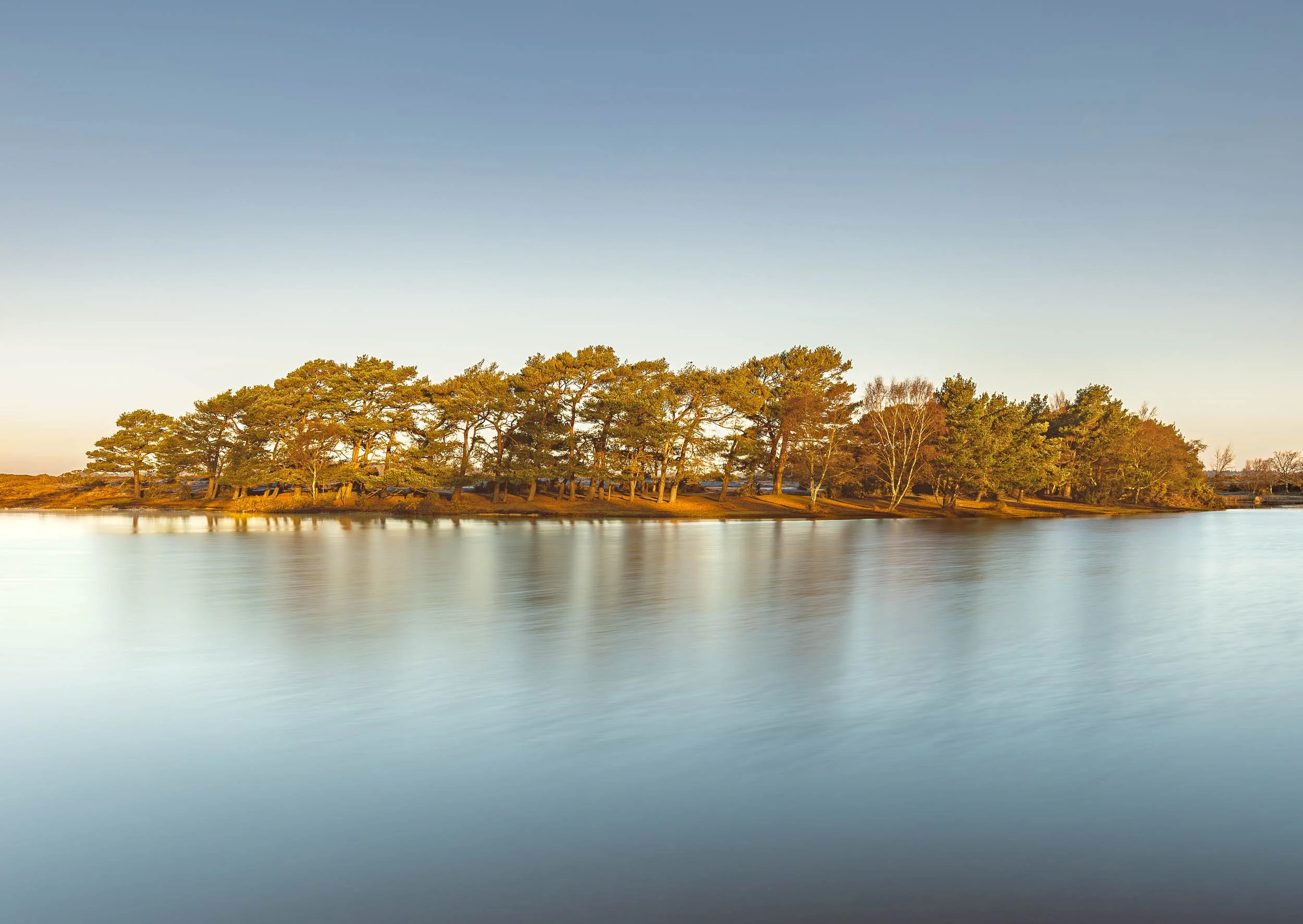 Tree Lined Shoreline - Hatchet Pond