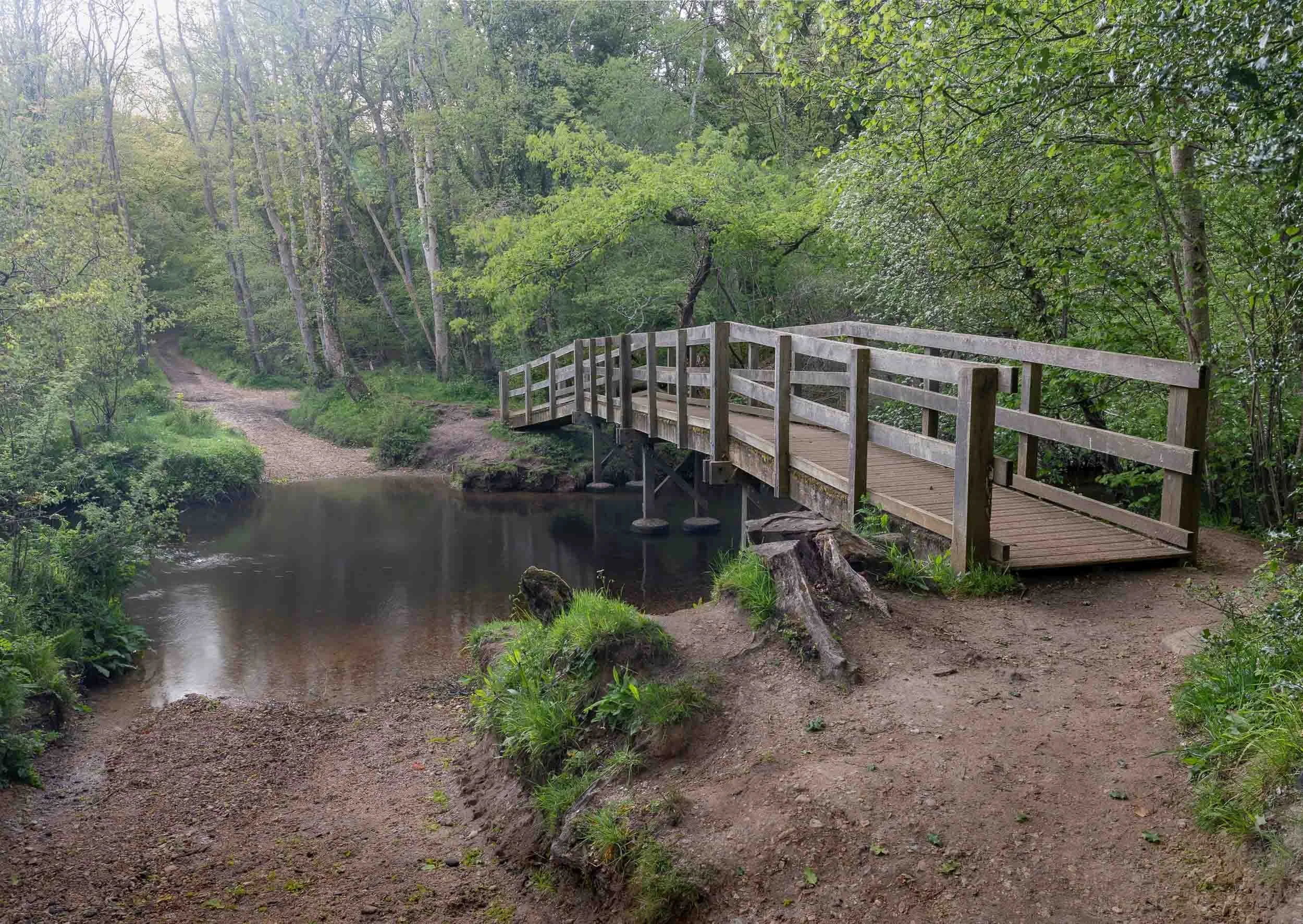 The Ford - Roydon Woods Nature Reserve