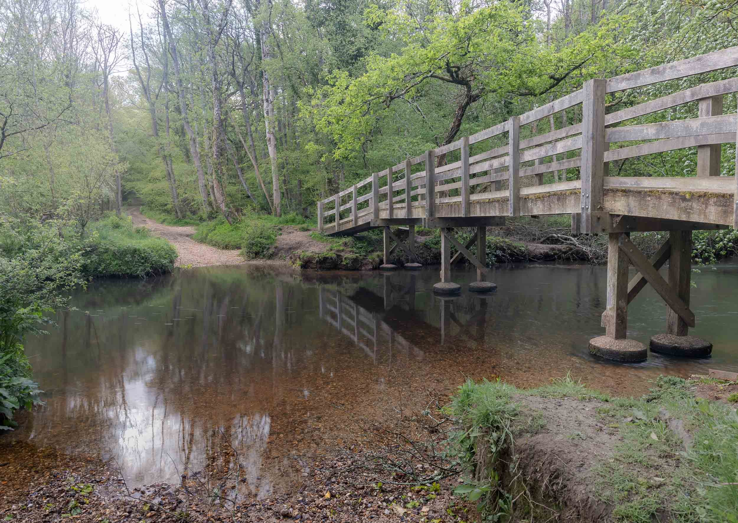 Lymington River Ford - Roydon Woods Nature Reserve
