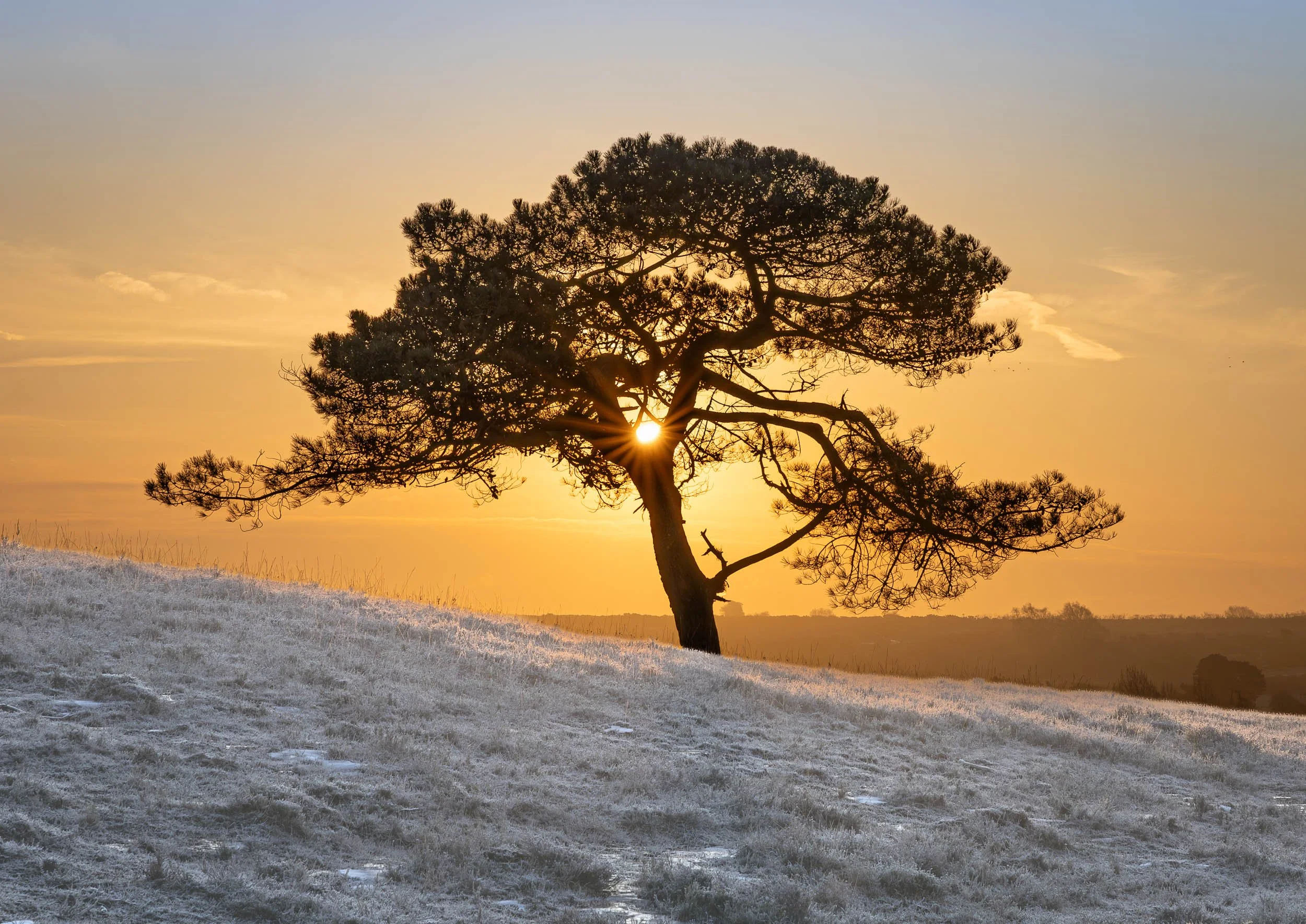 Silhouette Sunrise - Long Slade. Prints and Framed