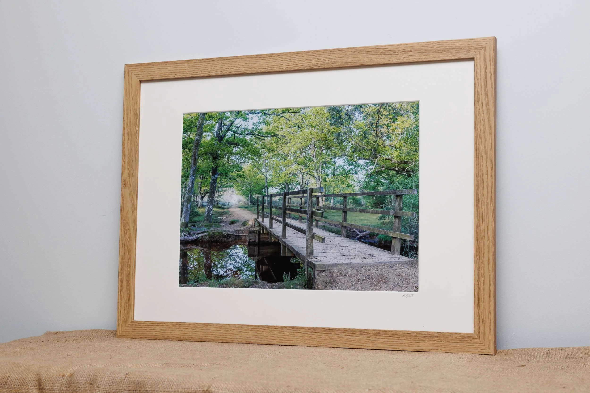 Enticing-path-new-forest Andy Tait Photography.jpg
