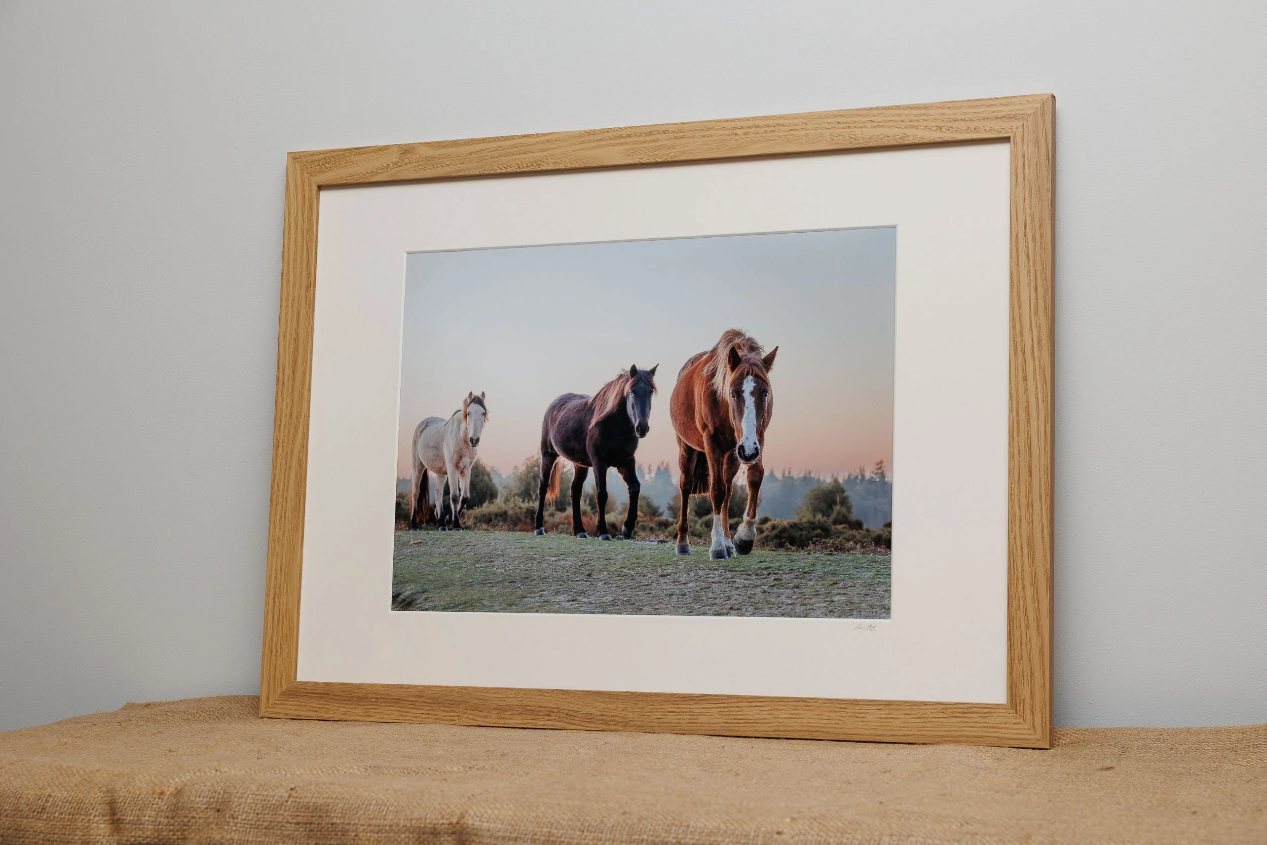 Three-New-Forest-Ponies Andy Tait Photography.jpg