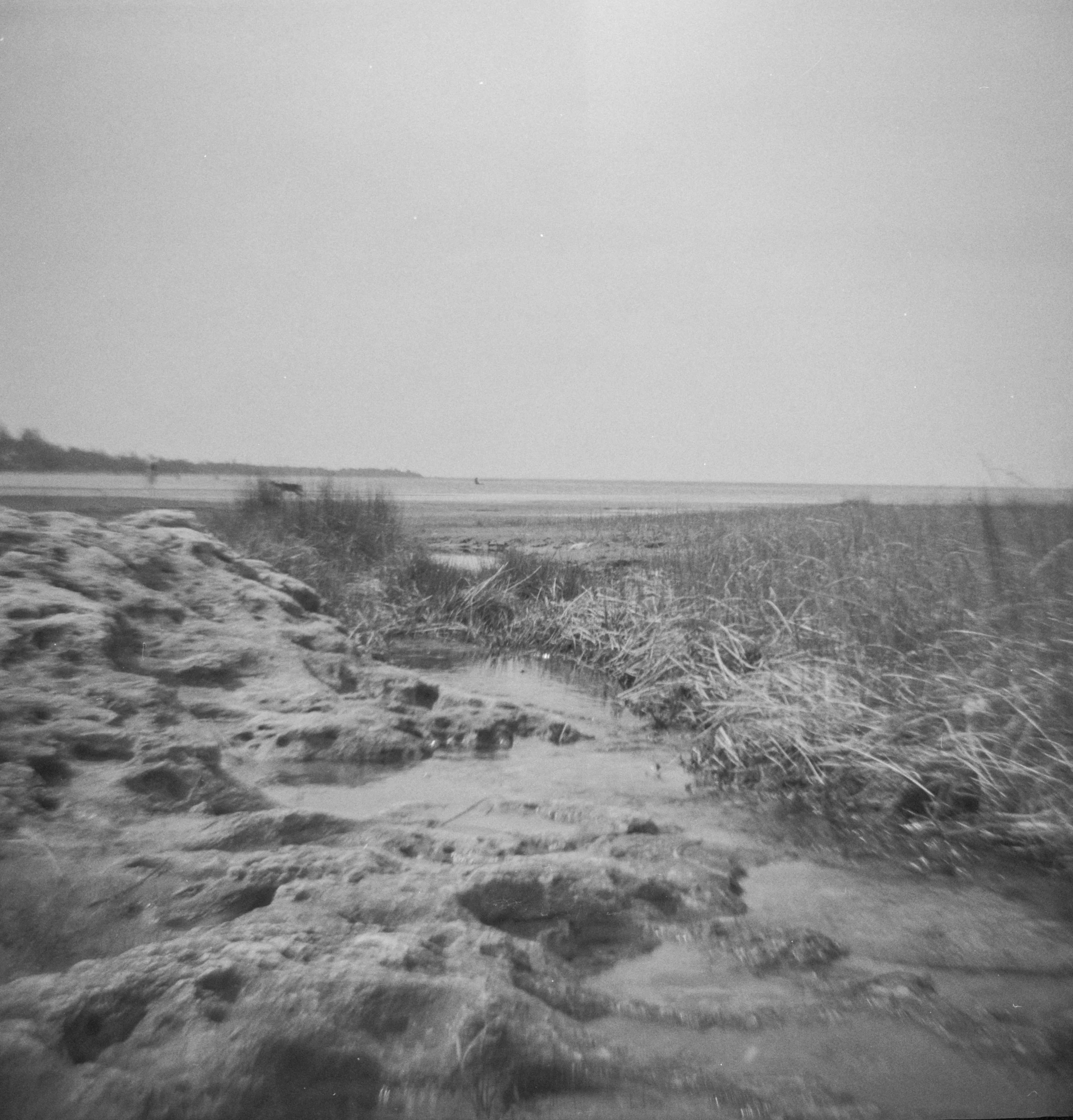 Bruce-Peninsula-Diana-02.jpg