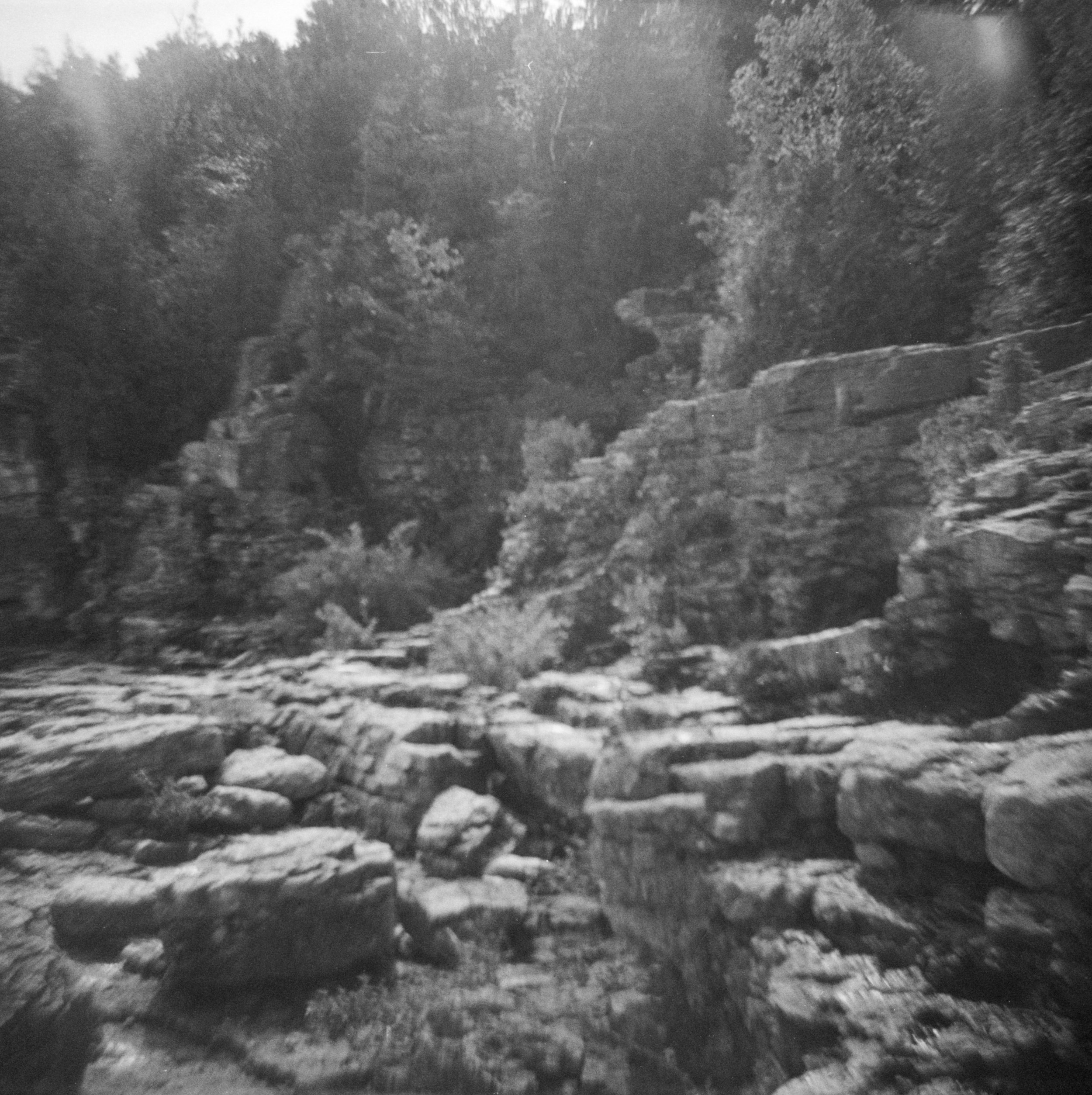 Bruce-Peninsula-Diana-03.jpg