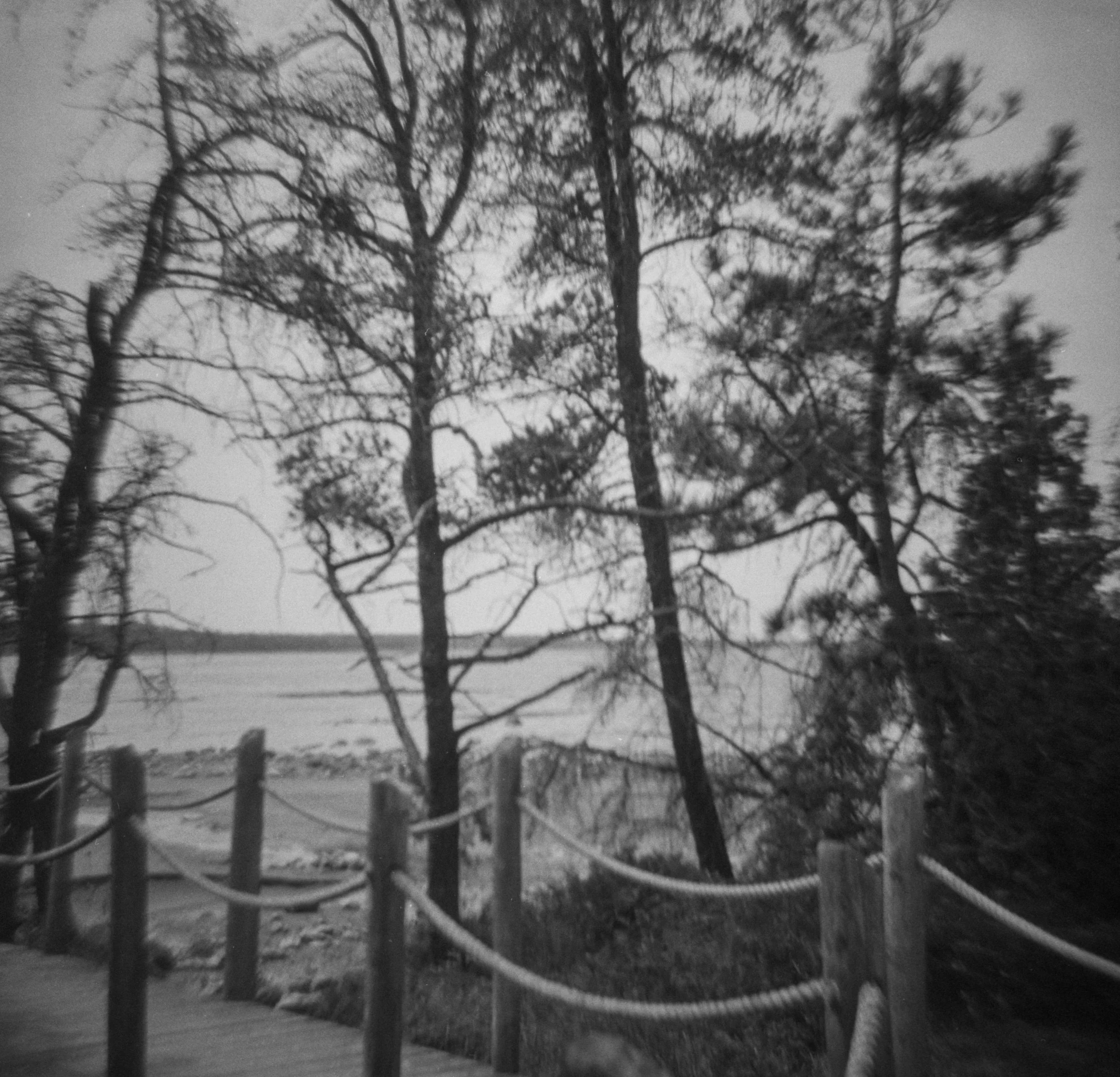 Bruce-Peninsula-Diana-05.jpg